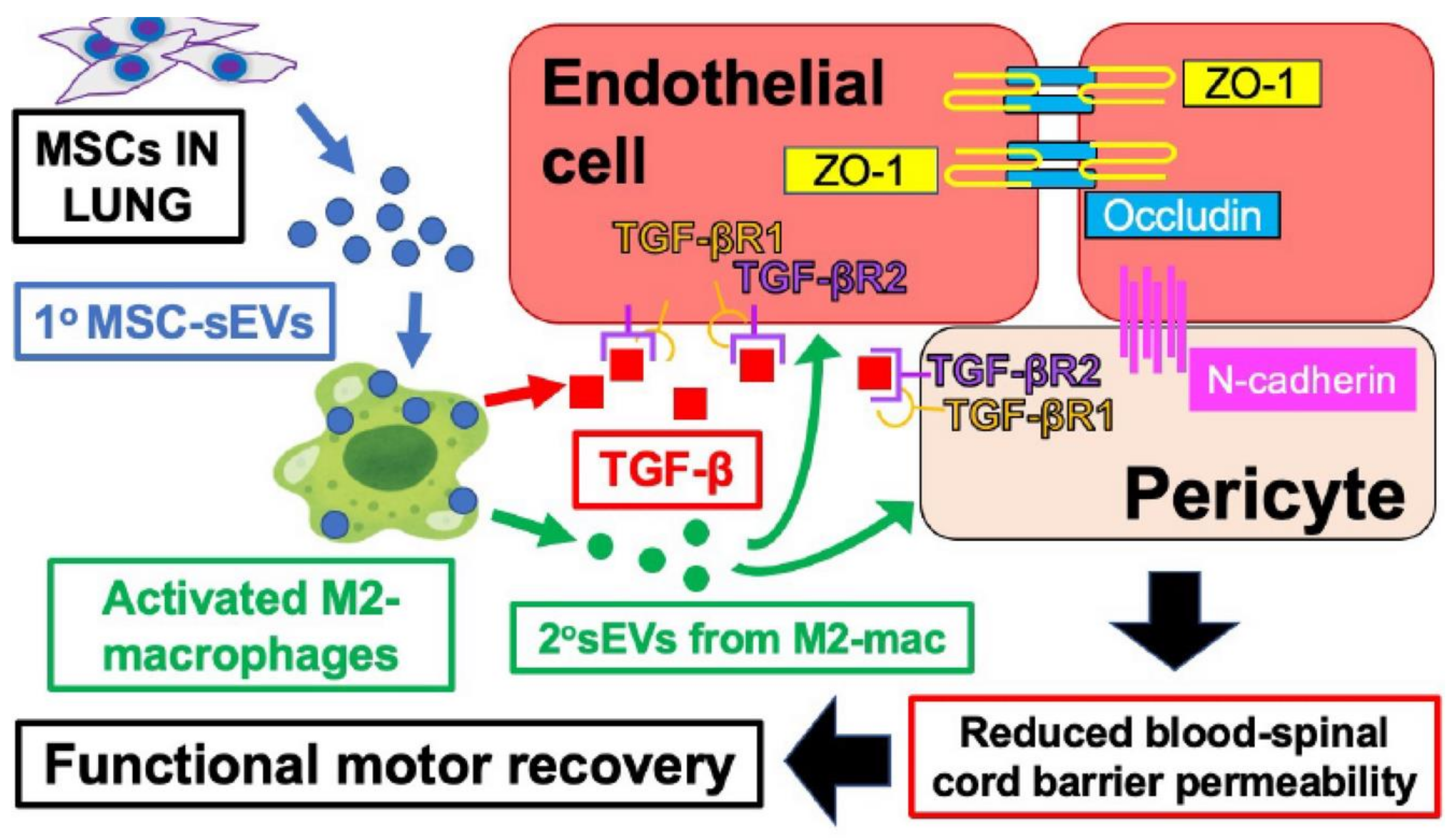 Preprints 159037 g003