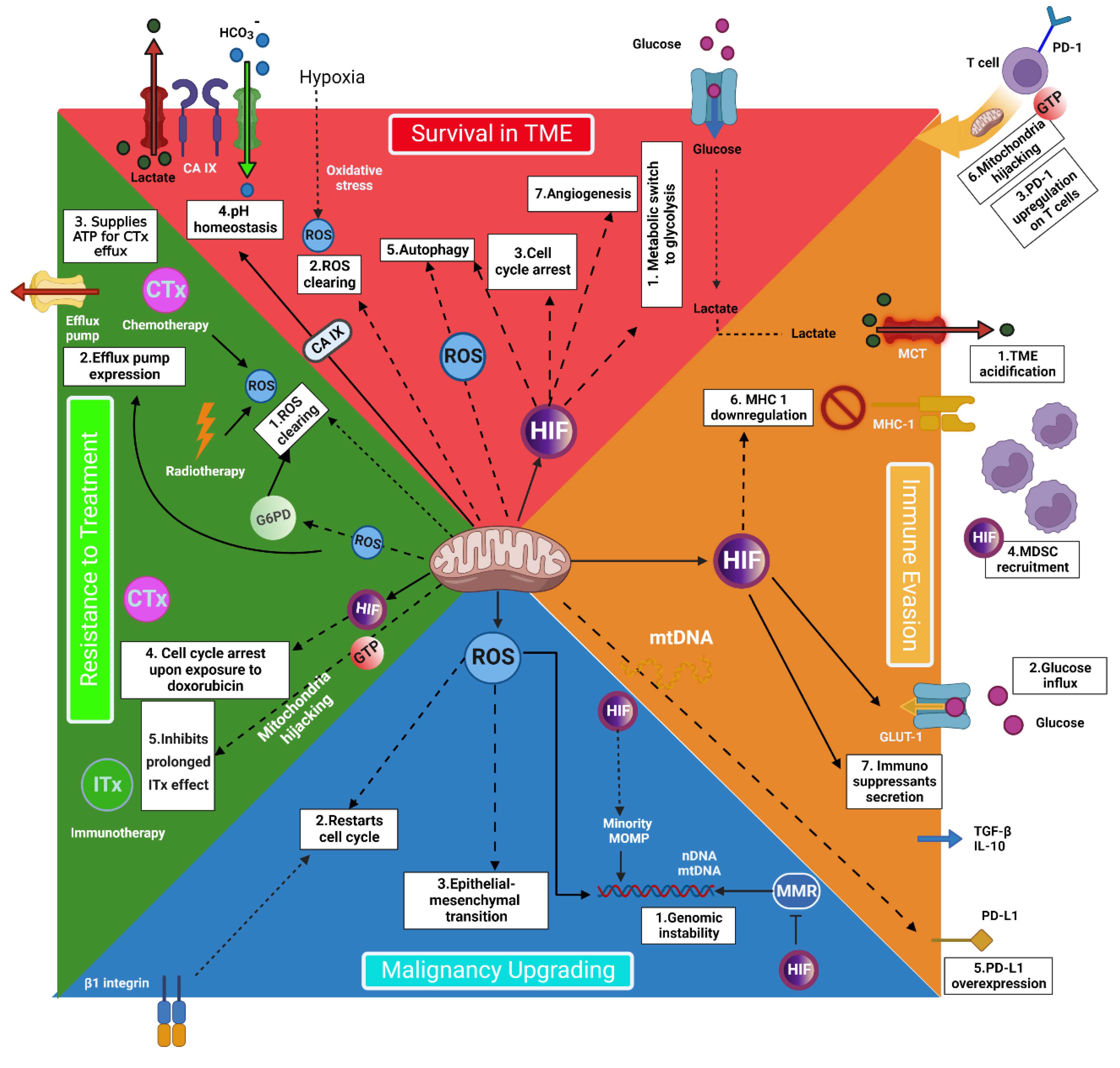 Preprints 73002 g001