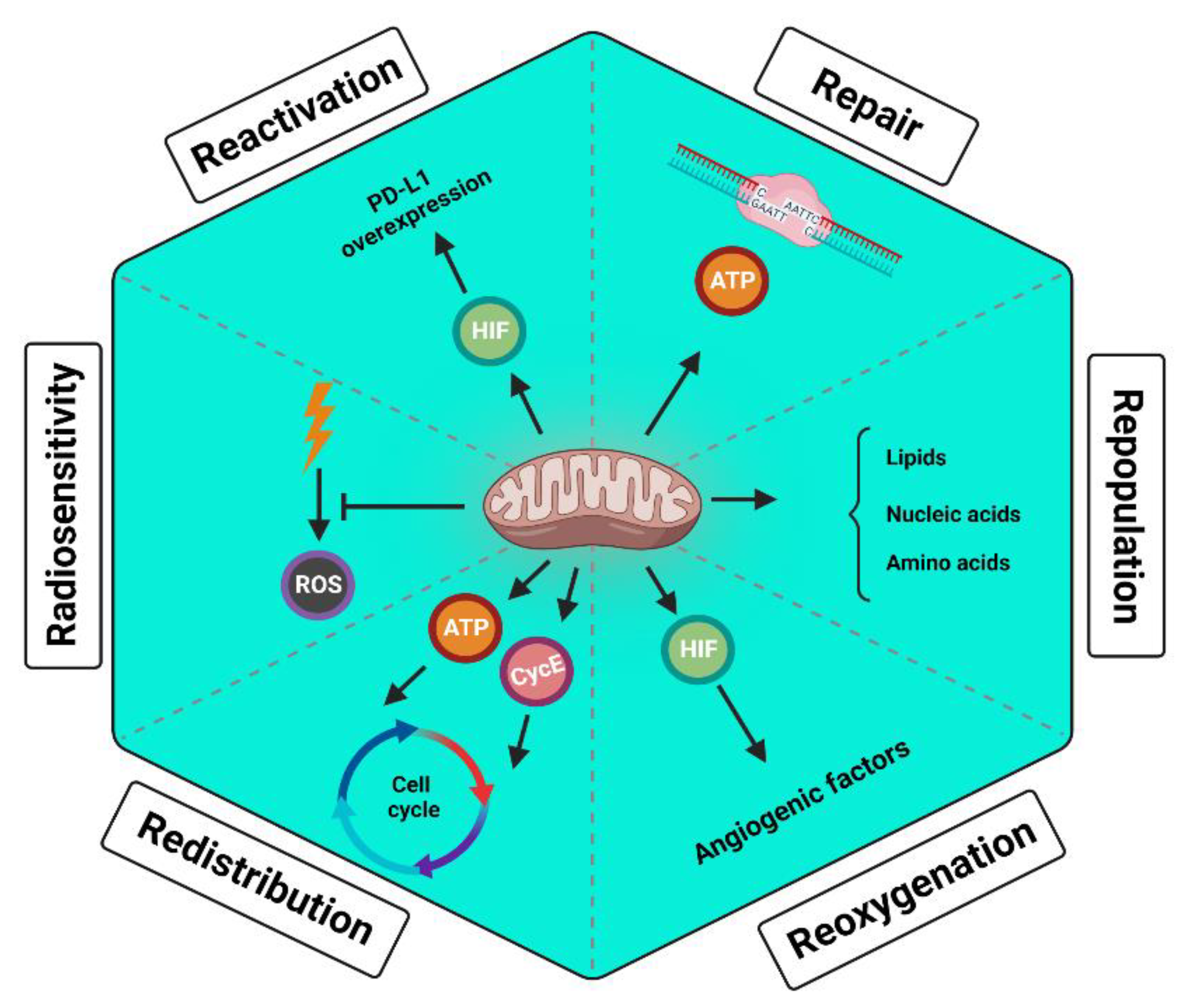 Preprints 73002 g002