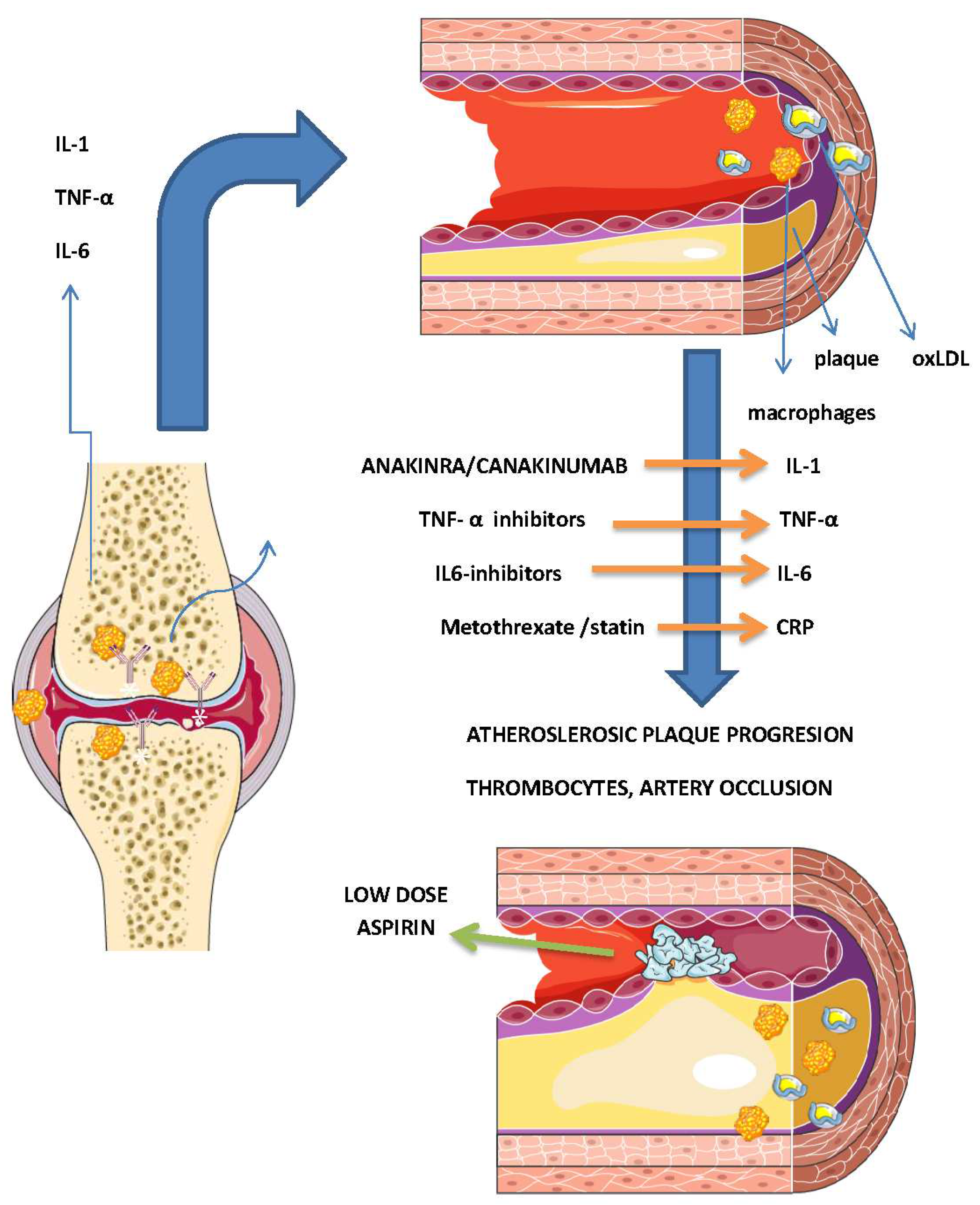 Preprints 81252 g002