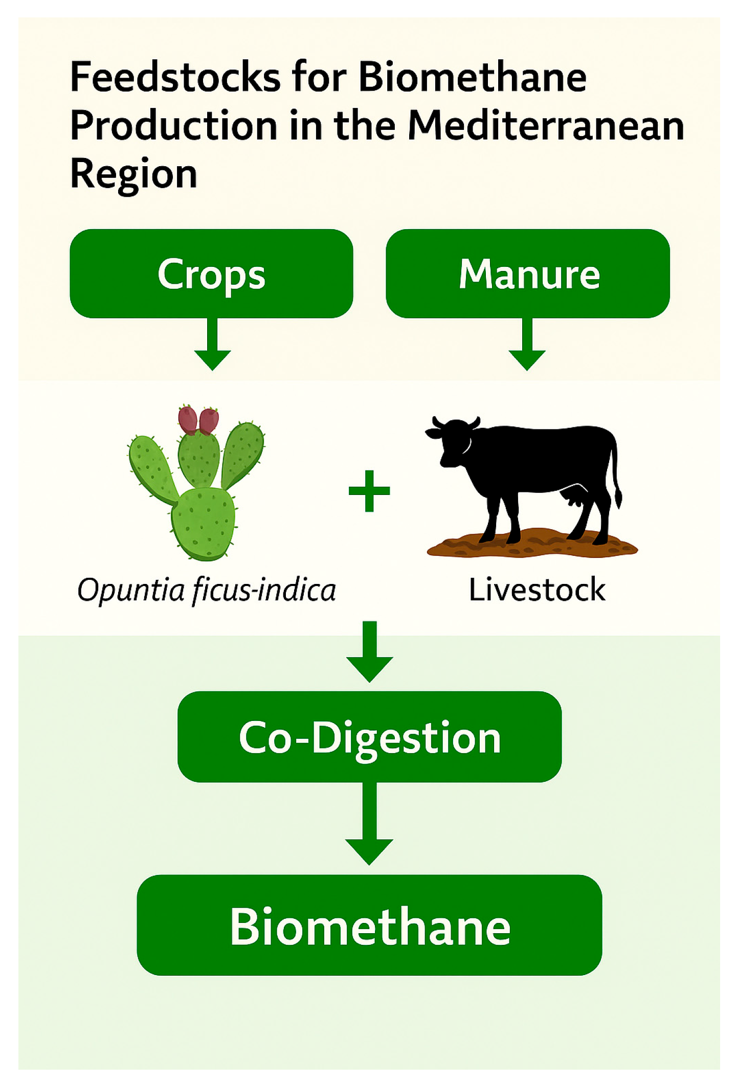 Preprints 163004 g002