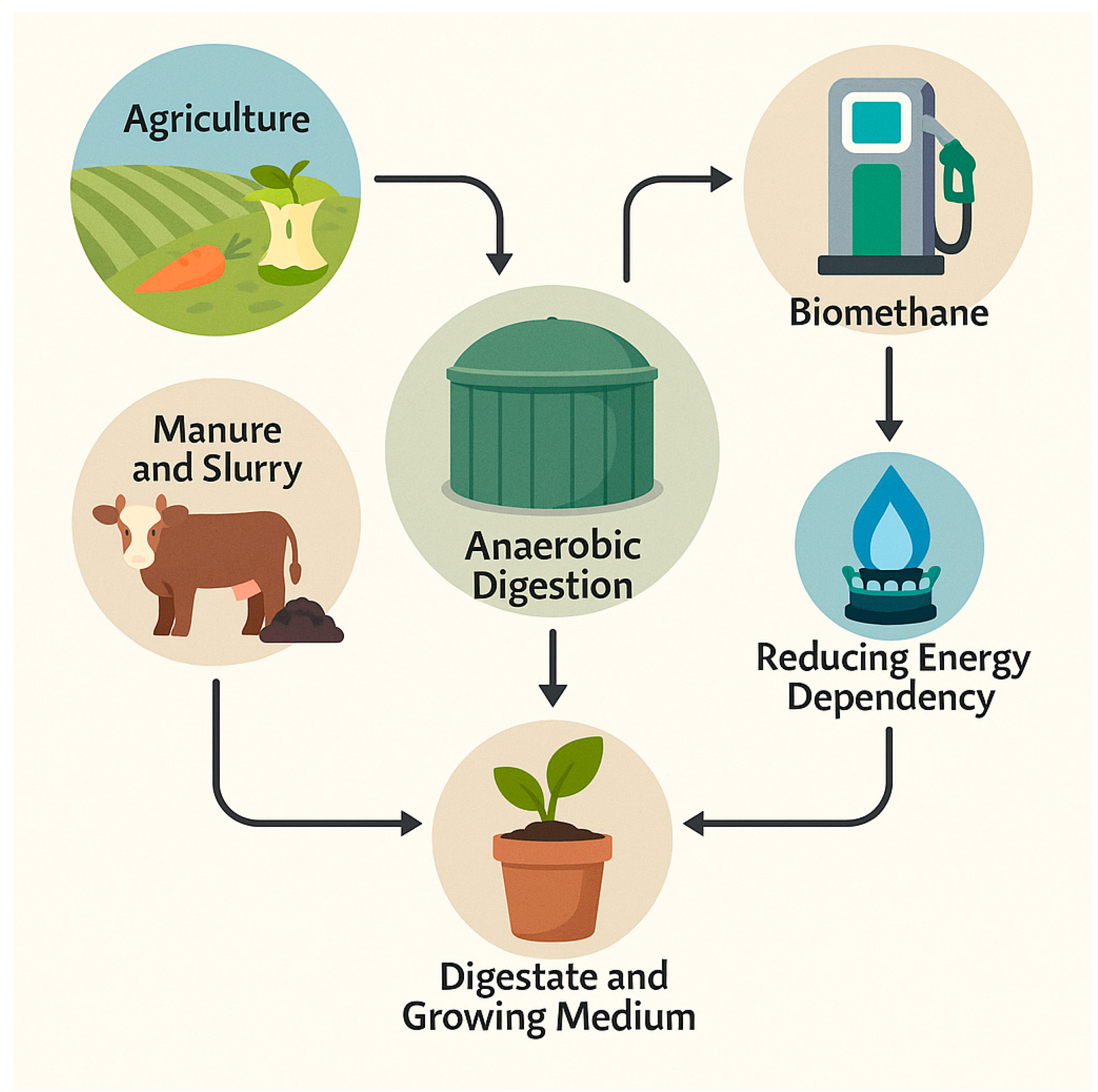 Preprints 163004 g006