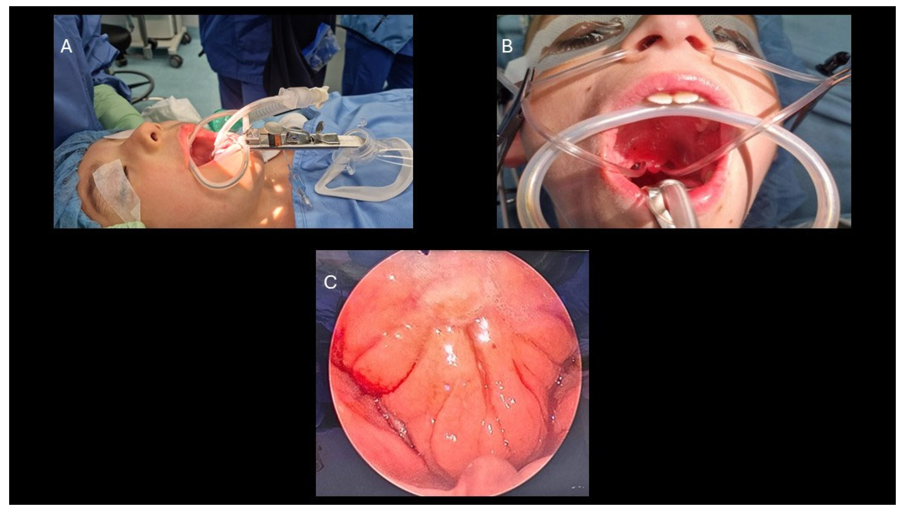 Preprints 199129 g001