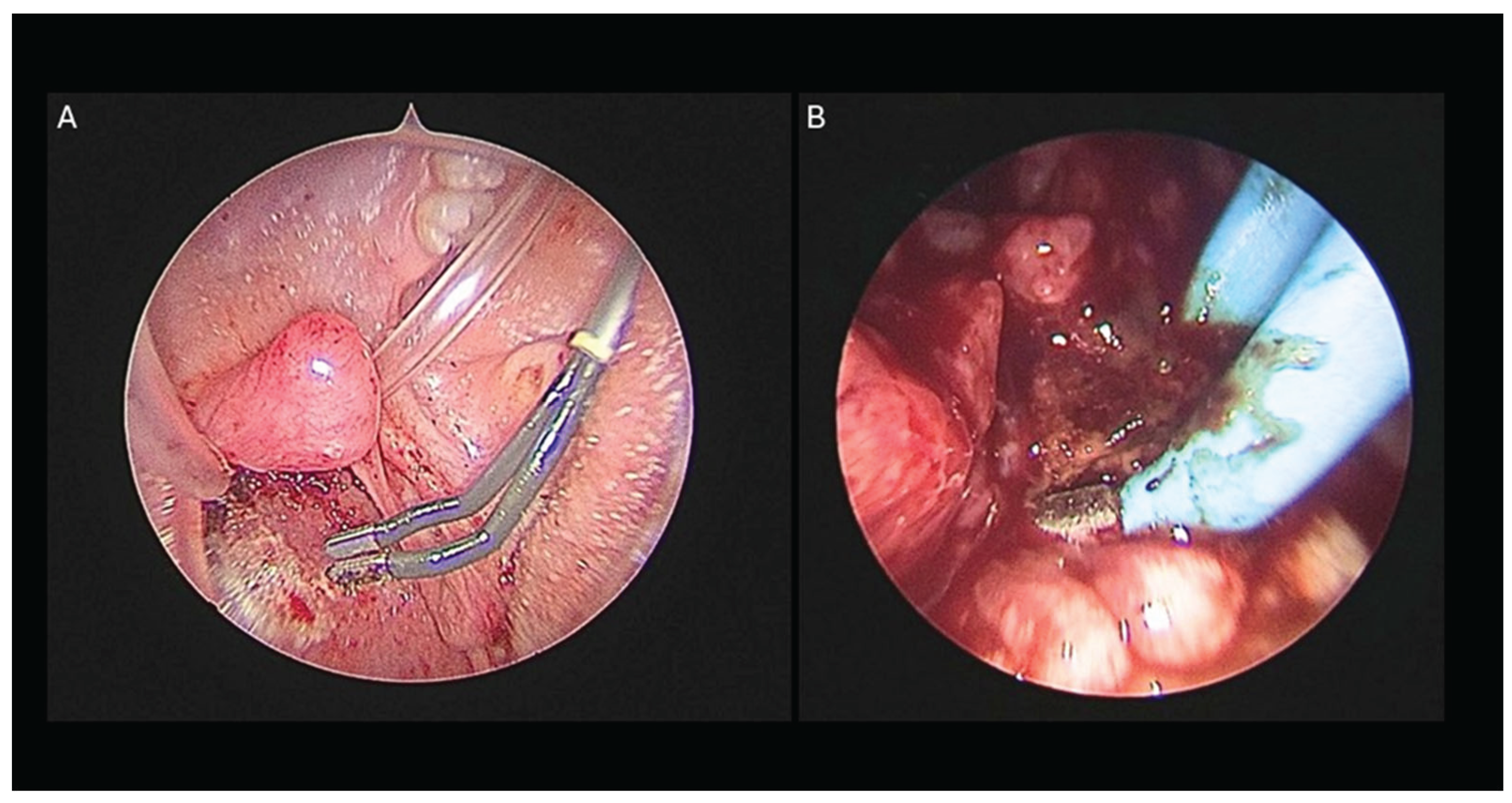 Preprints 199129 g002