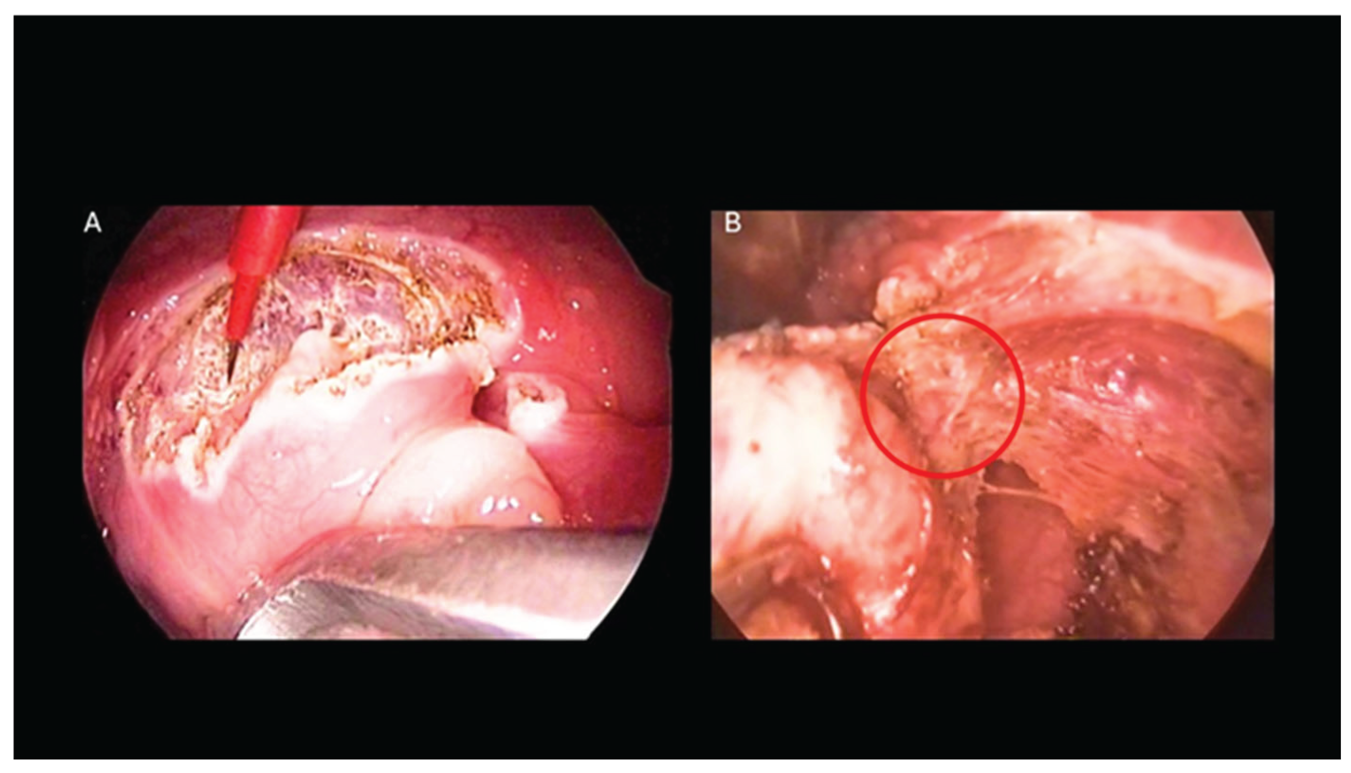 Preprints 199129 g003