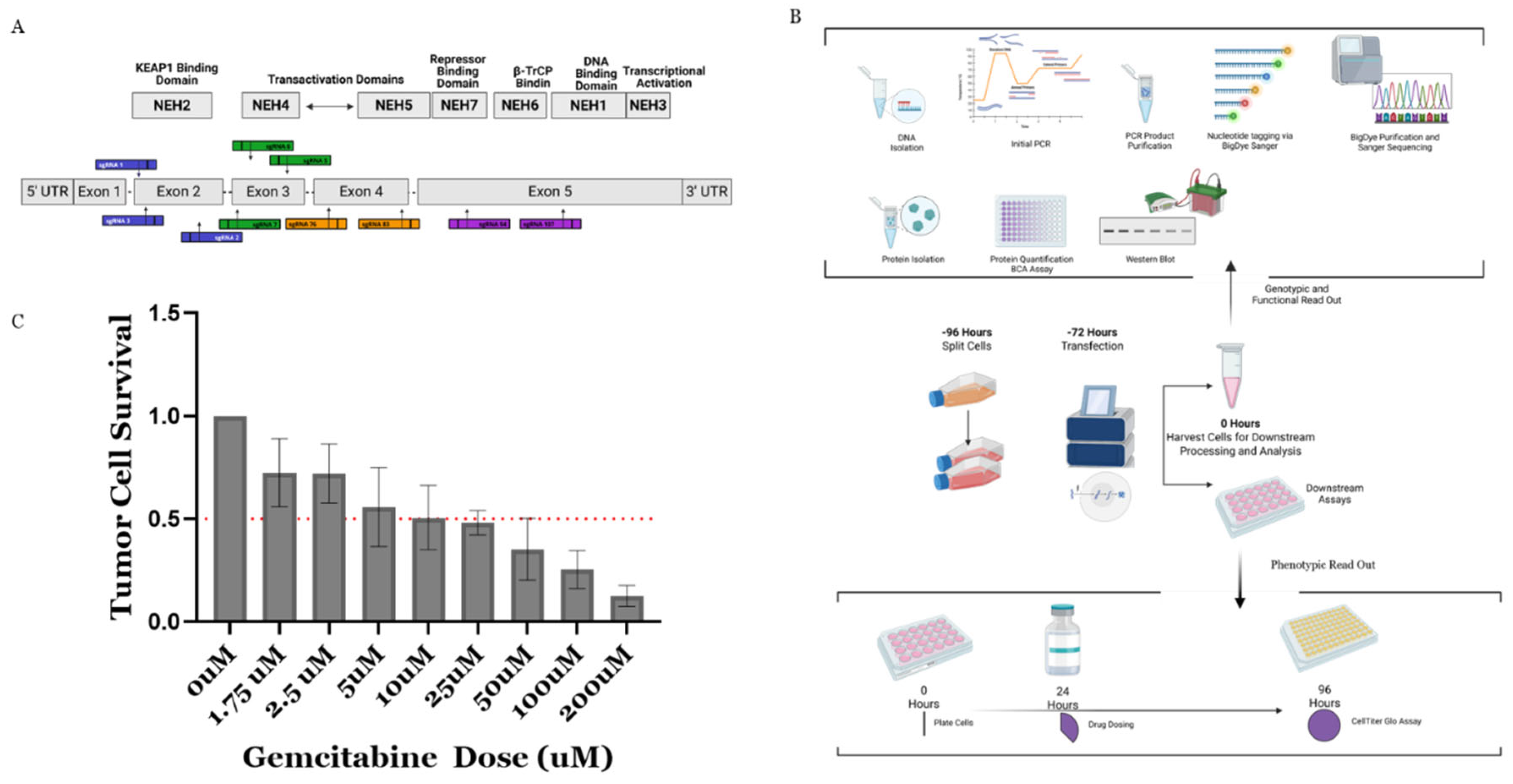 Preprints 209011 g001