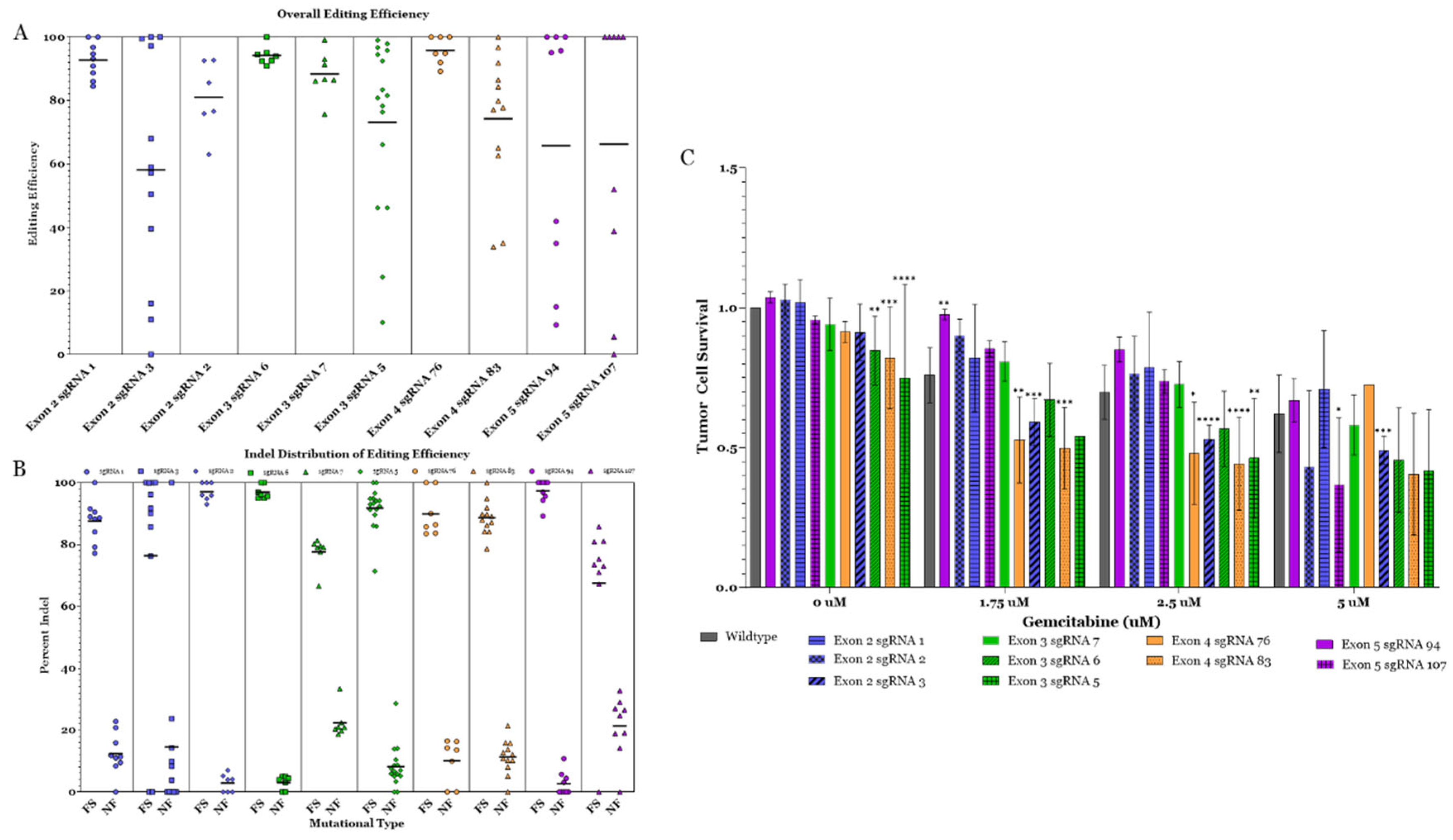 Preprints 209011 g002
