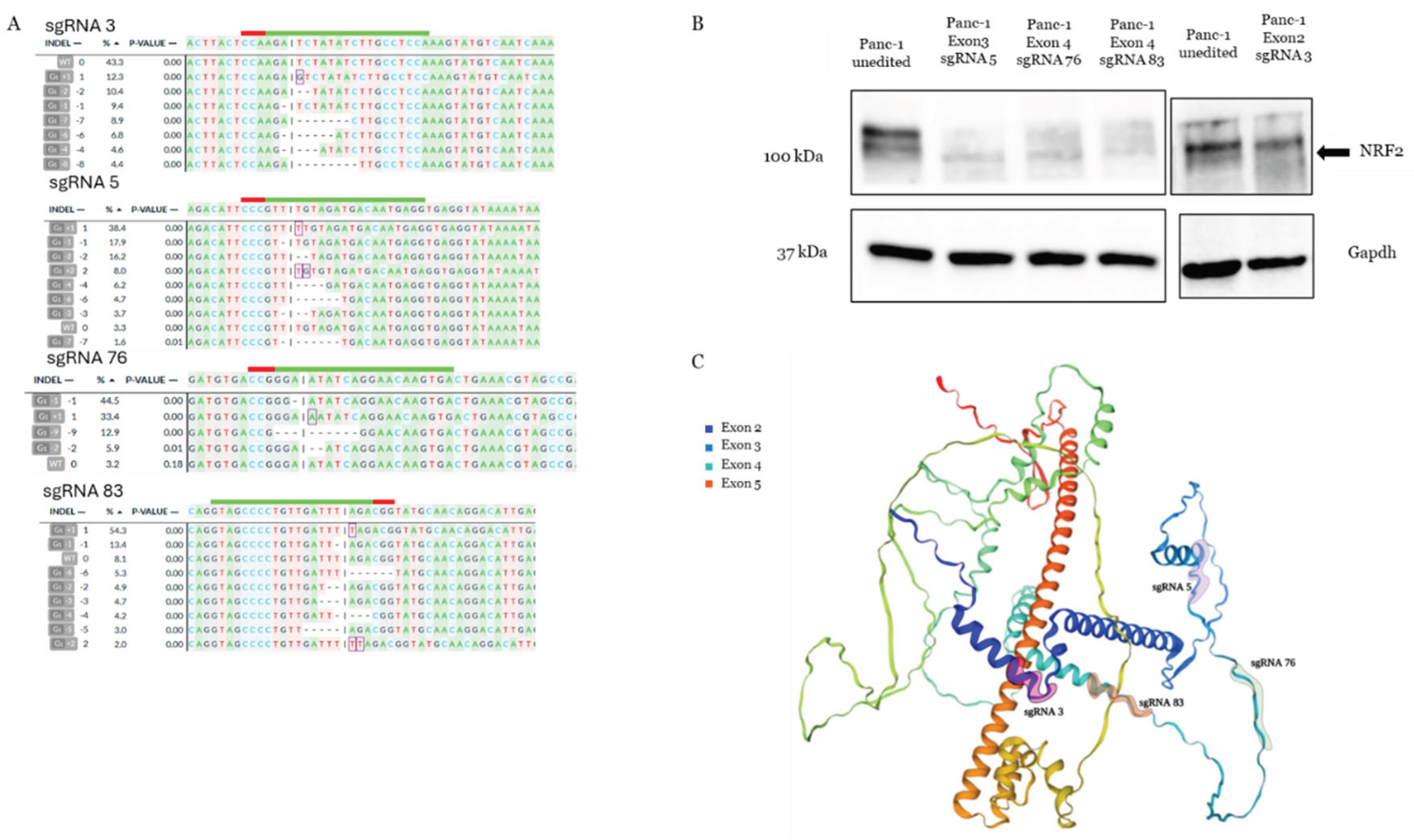 Preprints 209011 g003