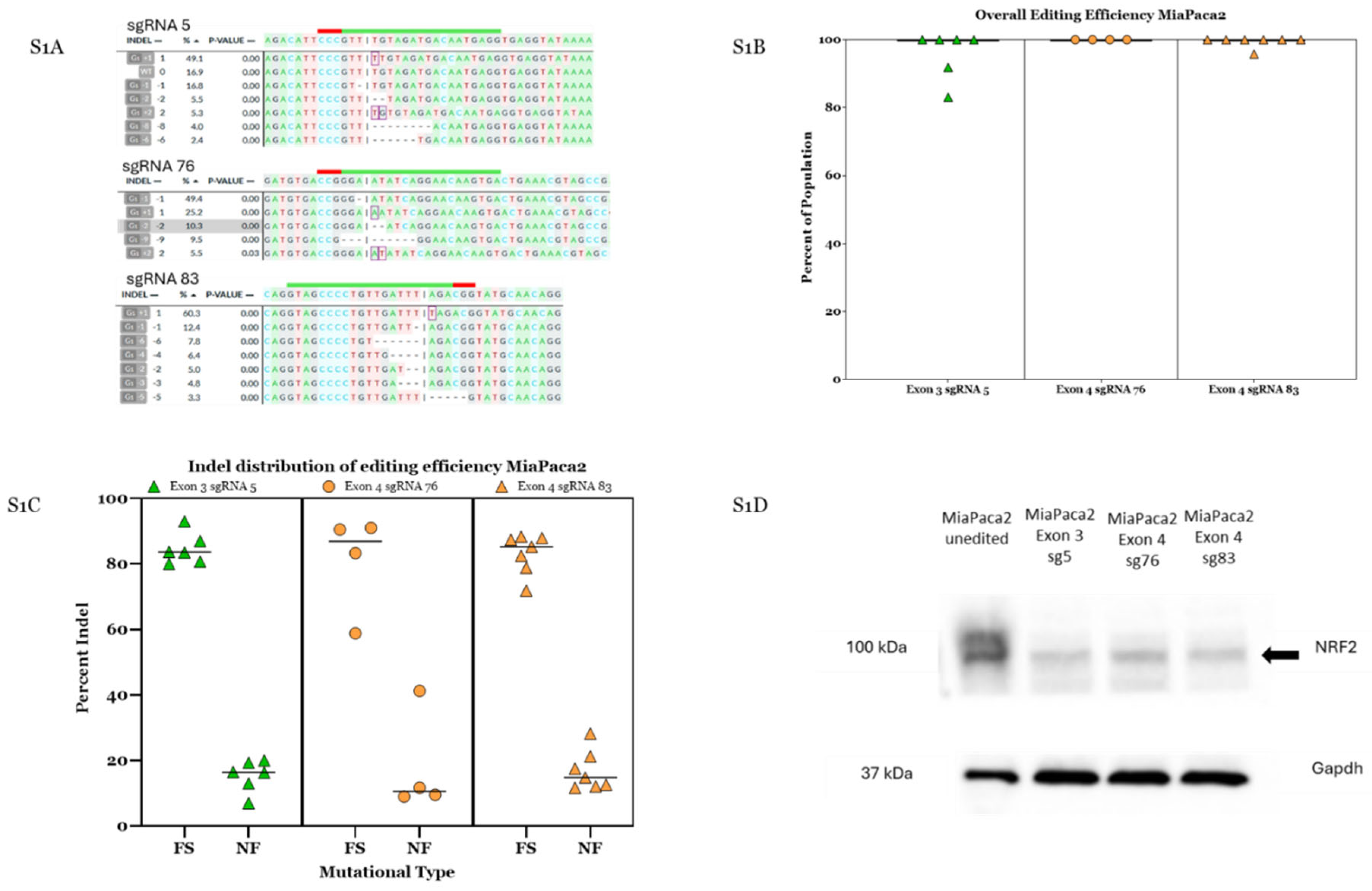 Preprints 209011 g0a1