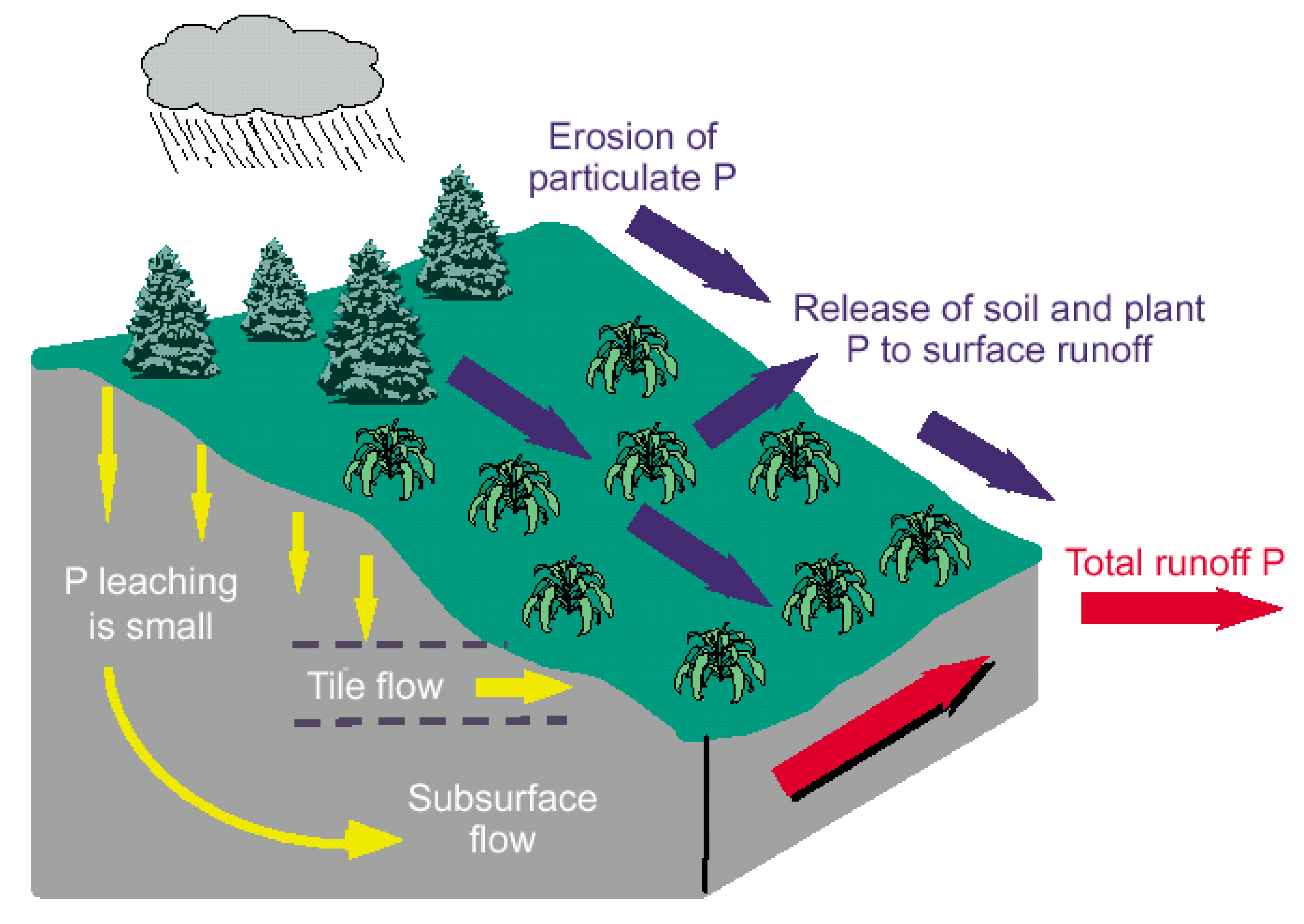 Preprints 187813 g004