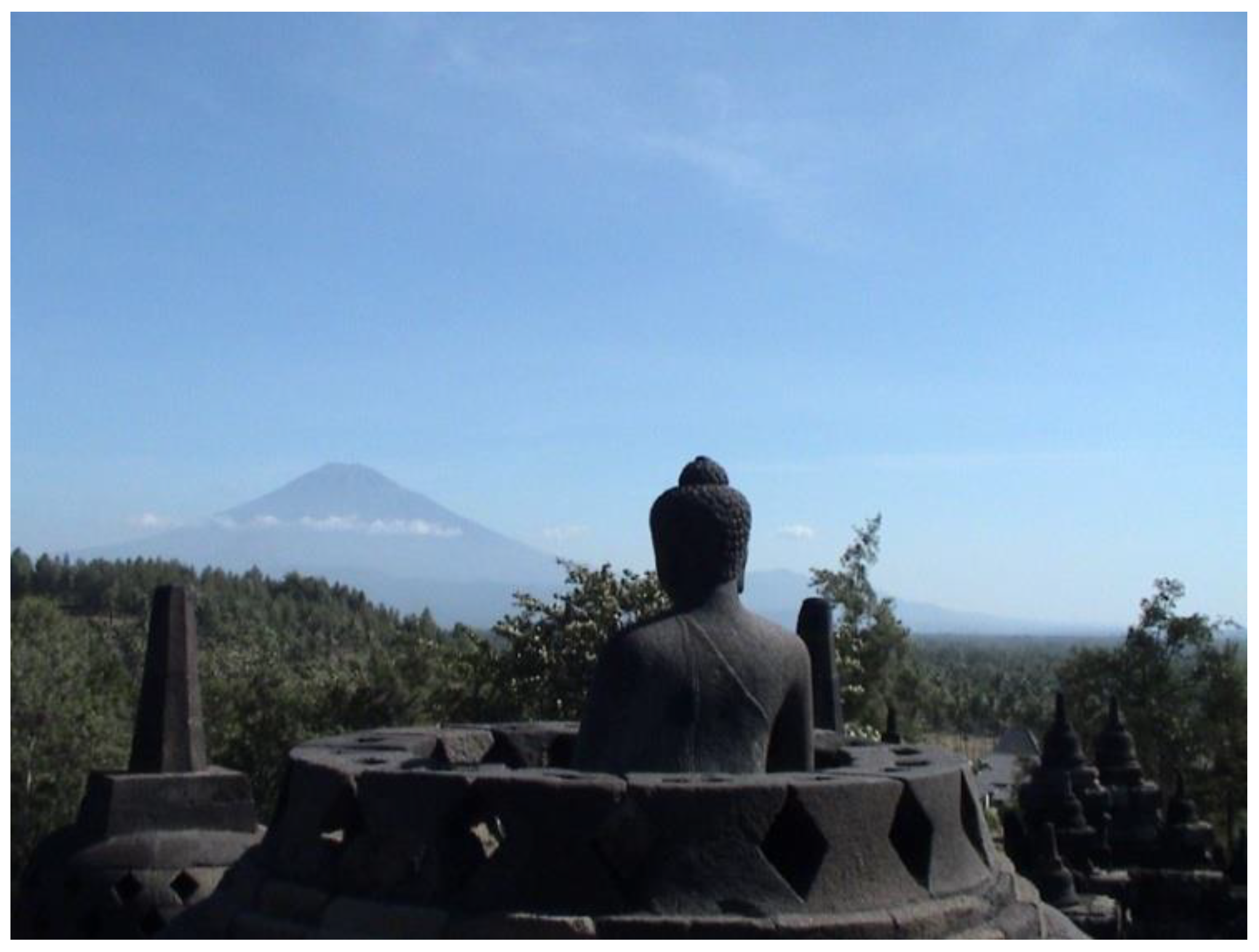 Preprints 156730 g014