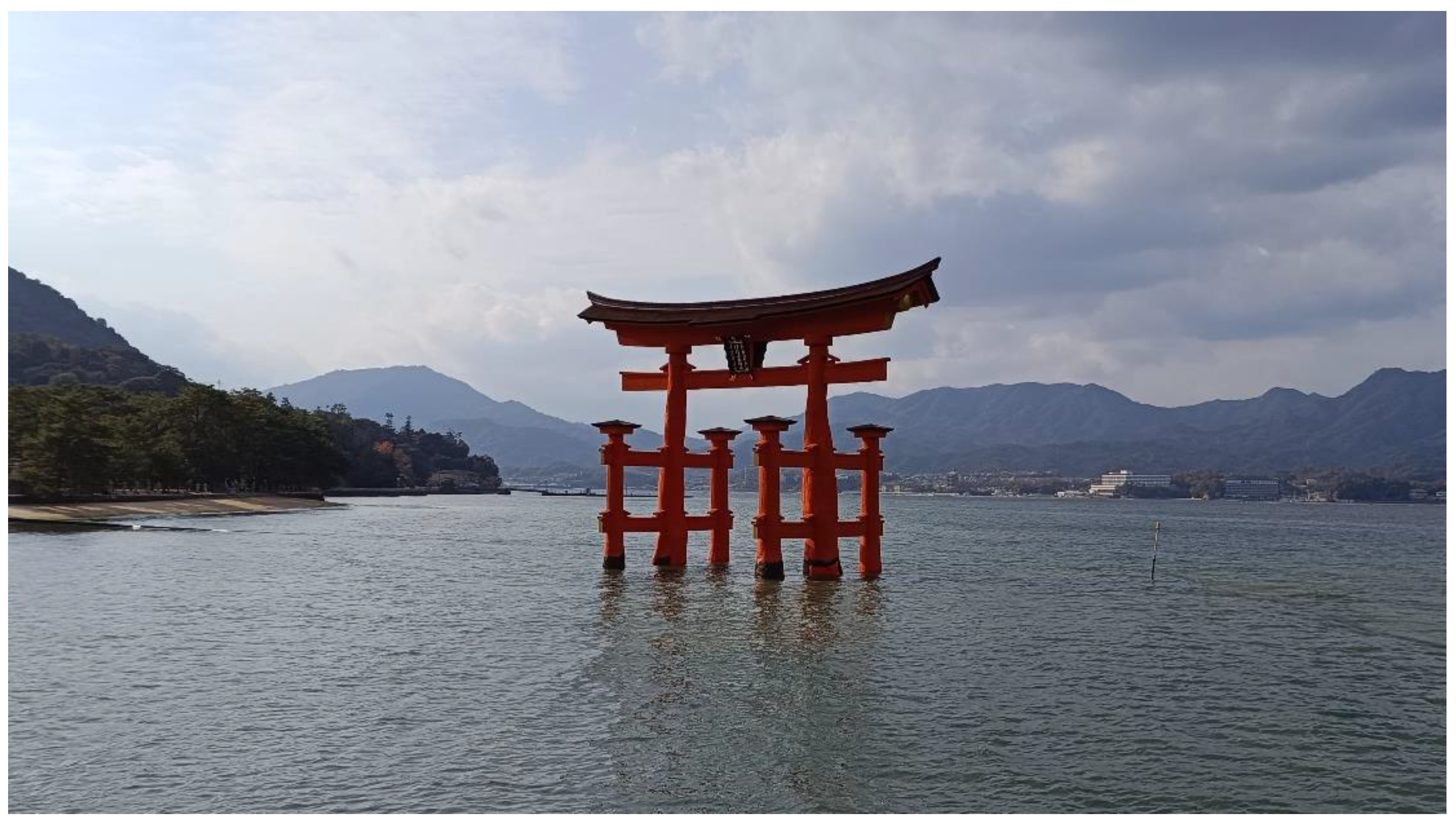 Preprints 156730 g021