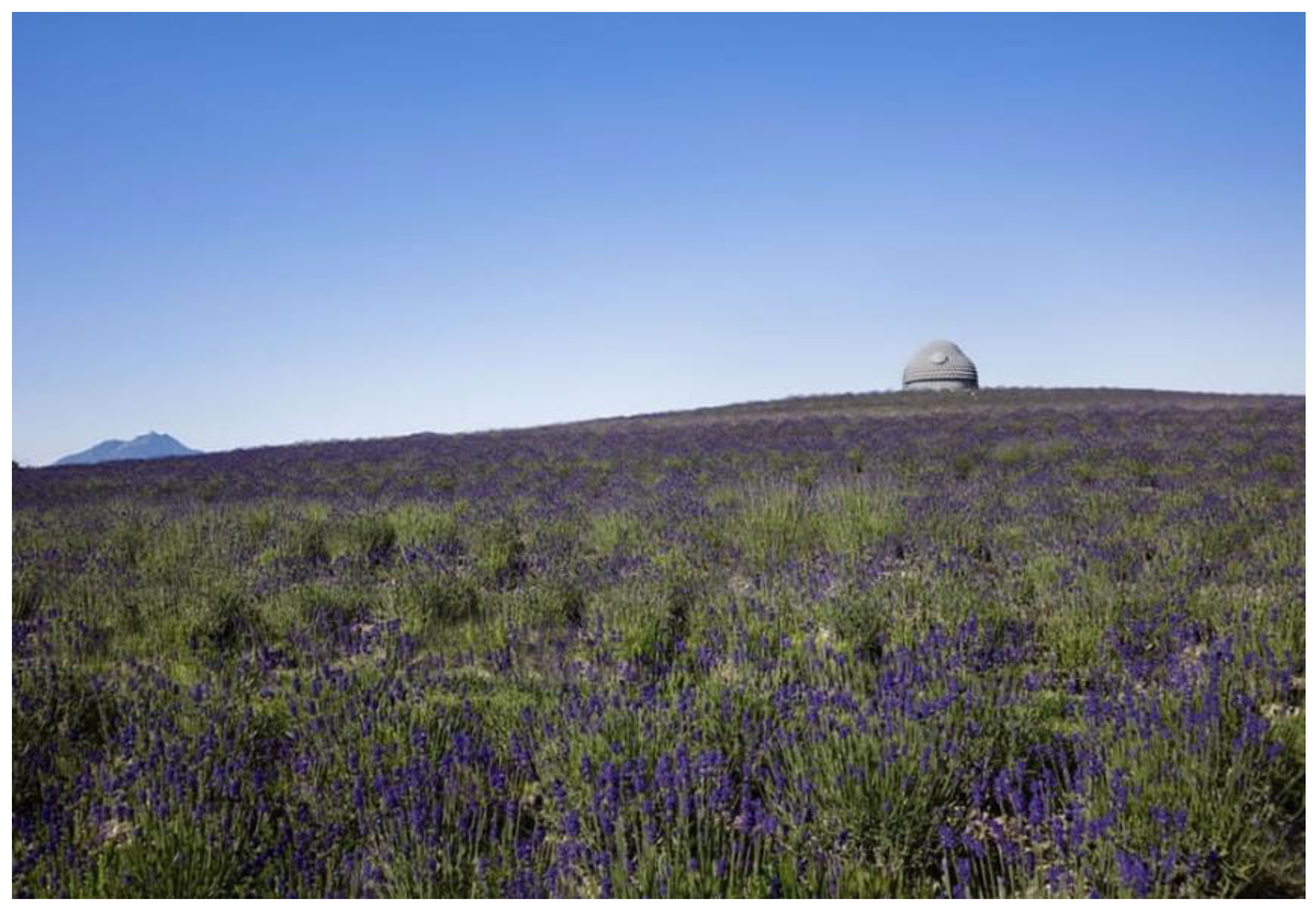 Preprints 156730 g030