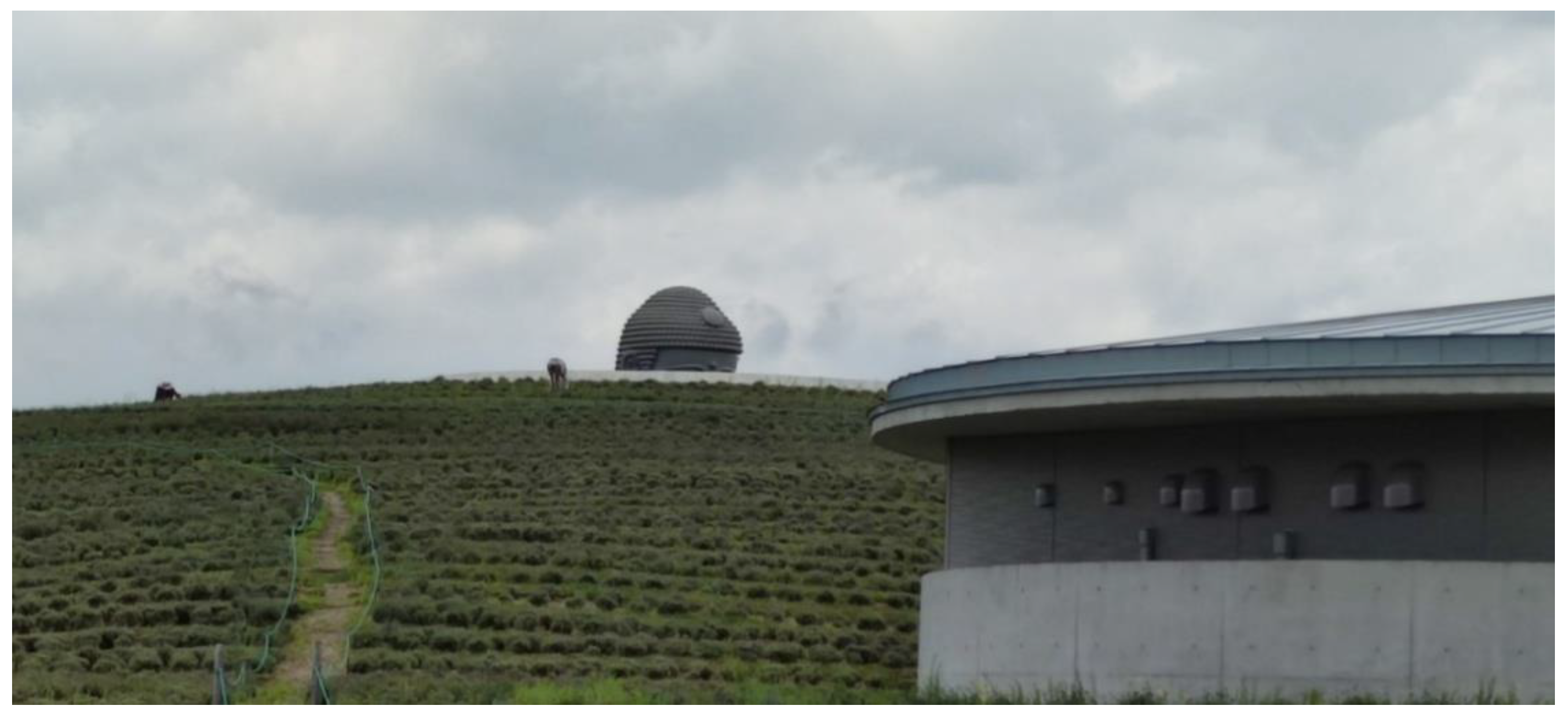 Preprints 156730 g032