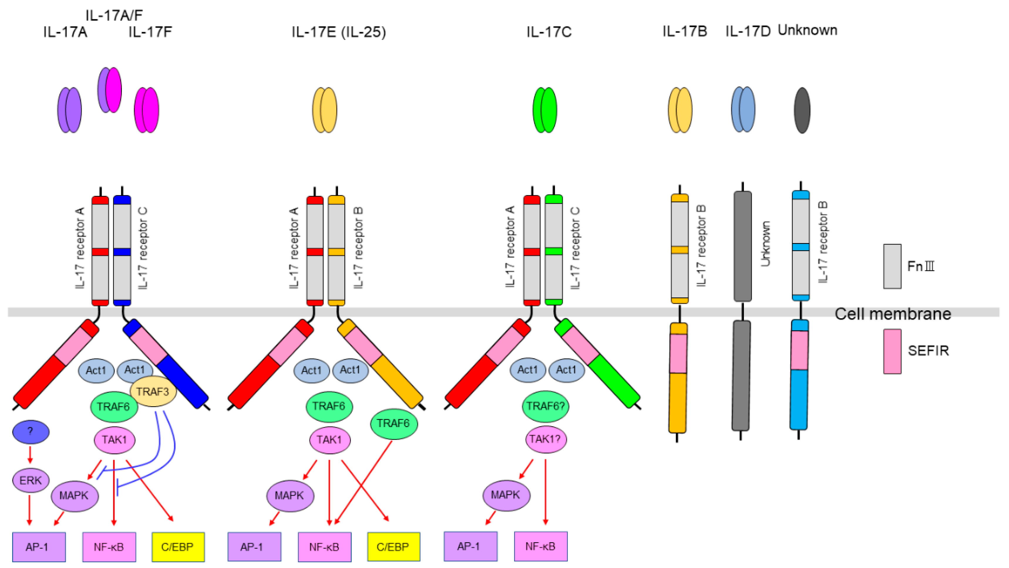 Preprints 206434 g001