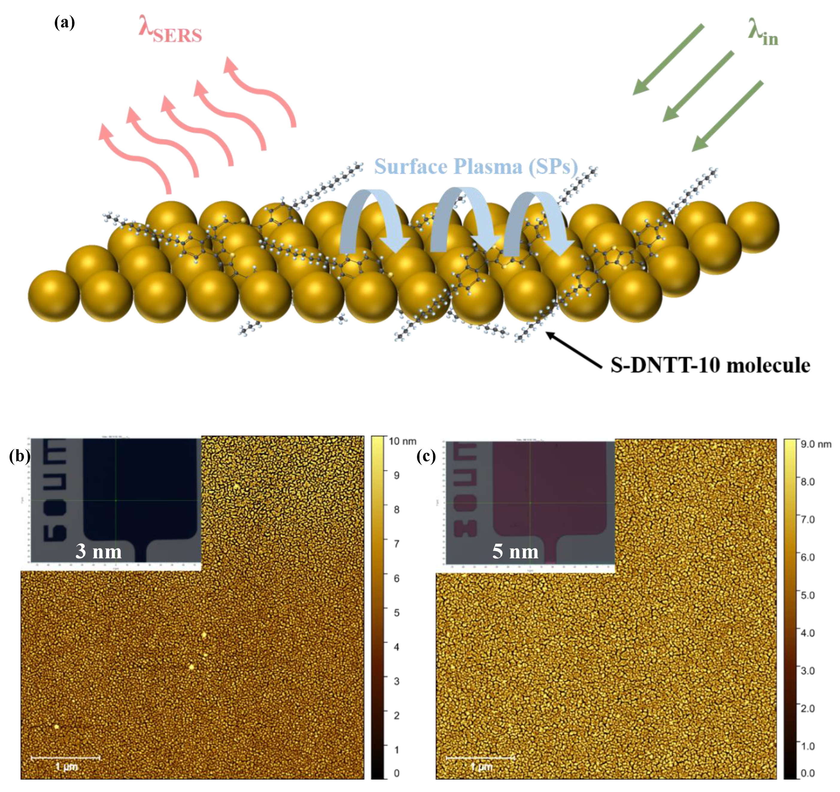 Preprints 153942 g005a