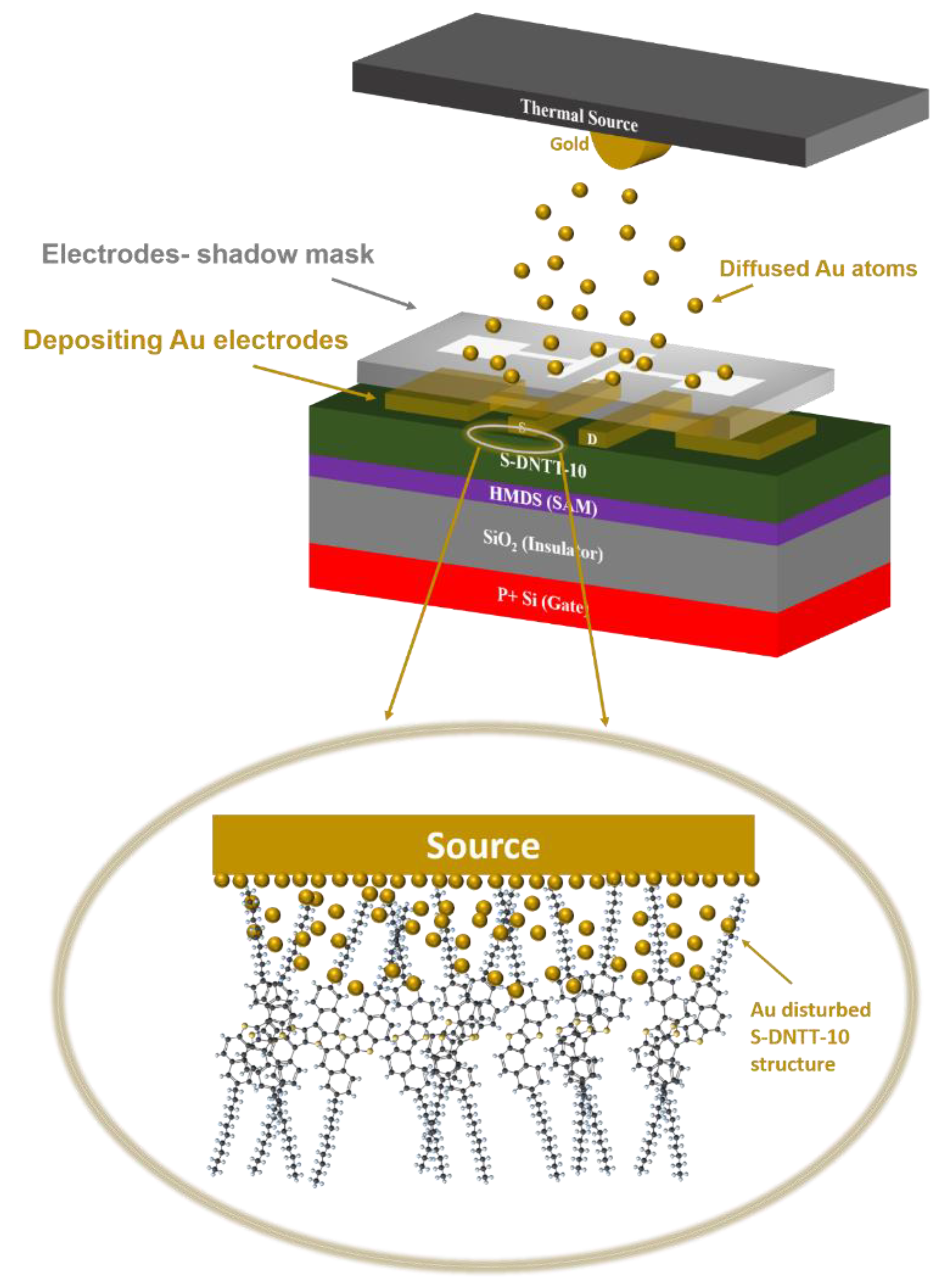 Preprints 153942 g007