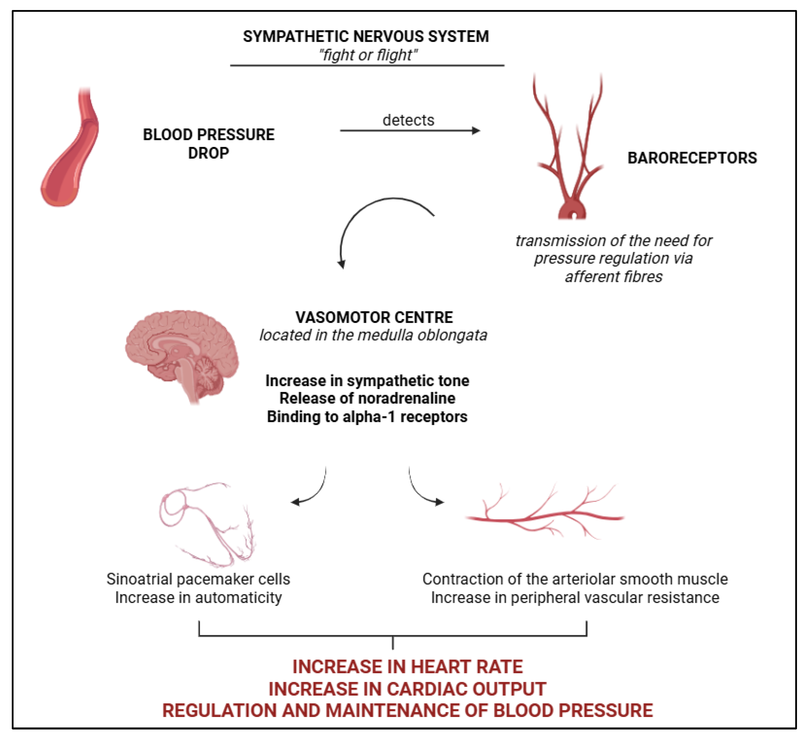 Preprints 154315 g001