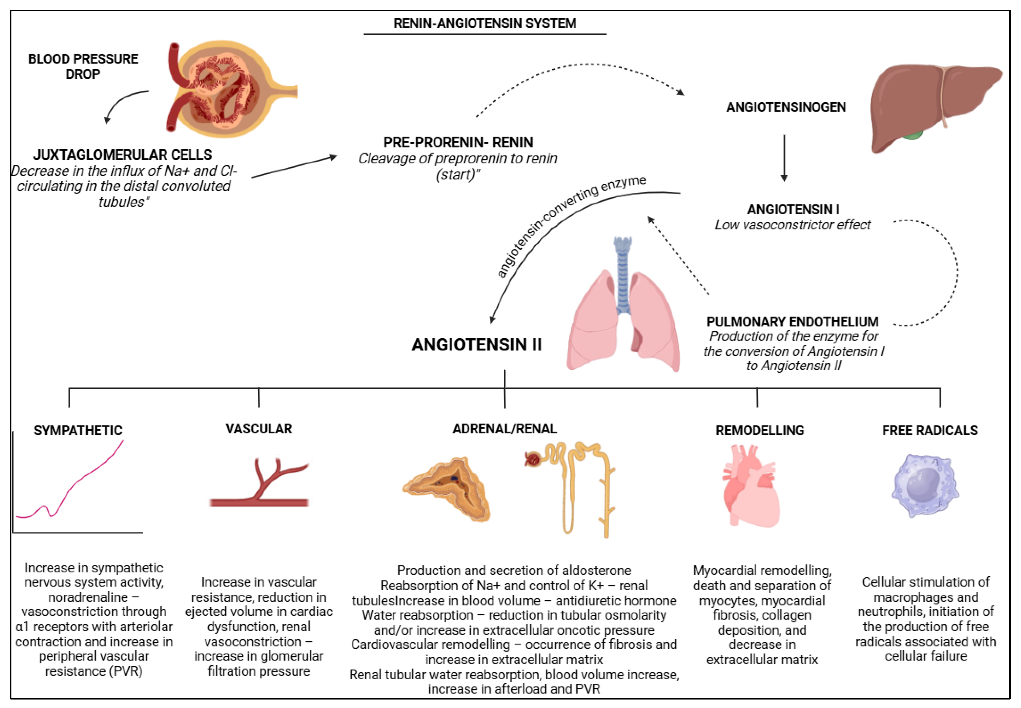 Preprints 154315 g002