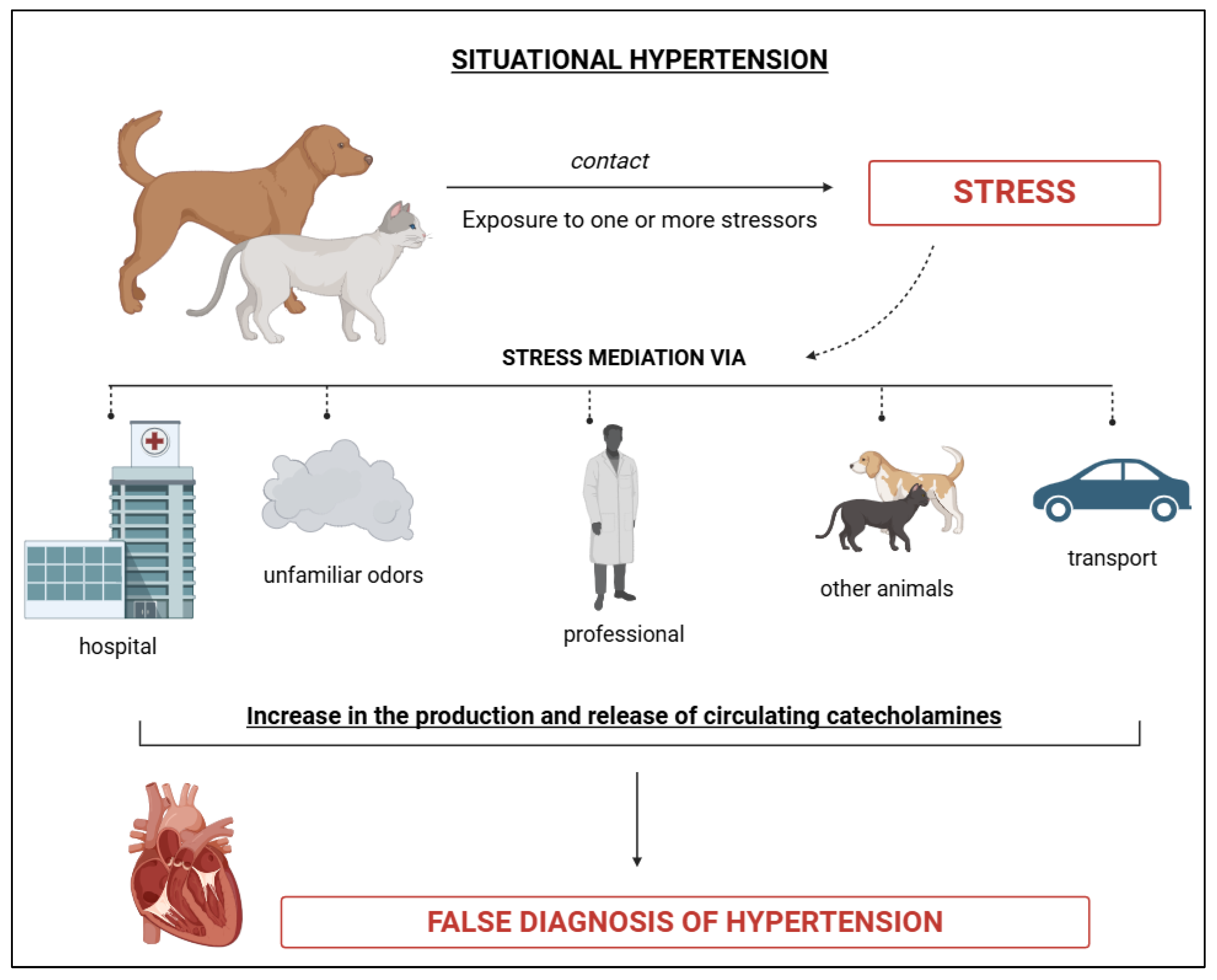Preprints 154315 g003