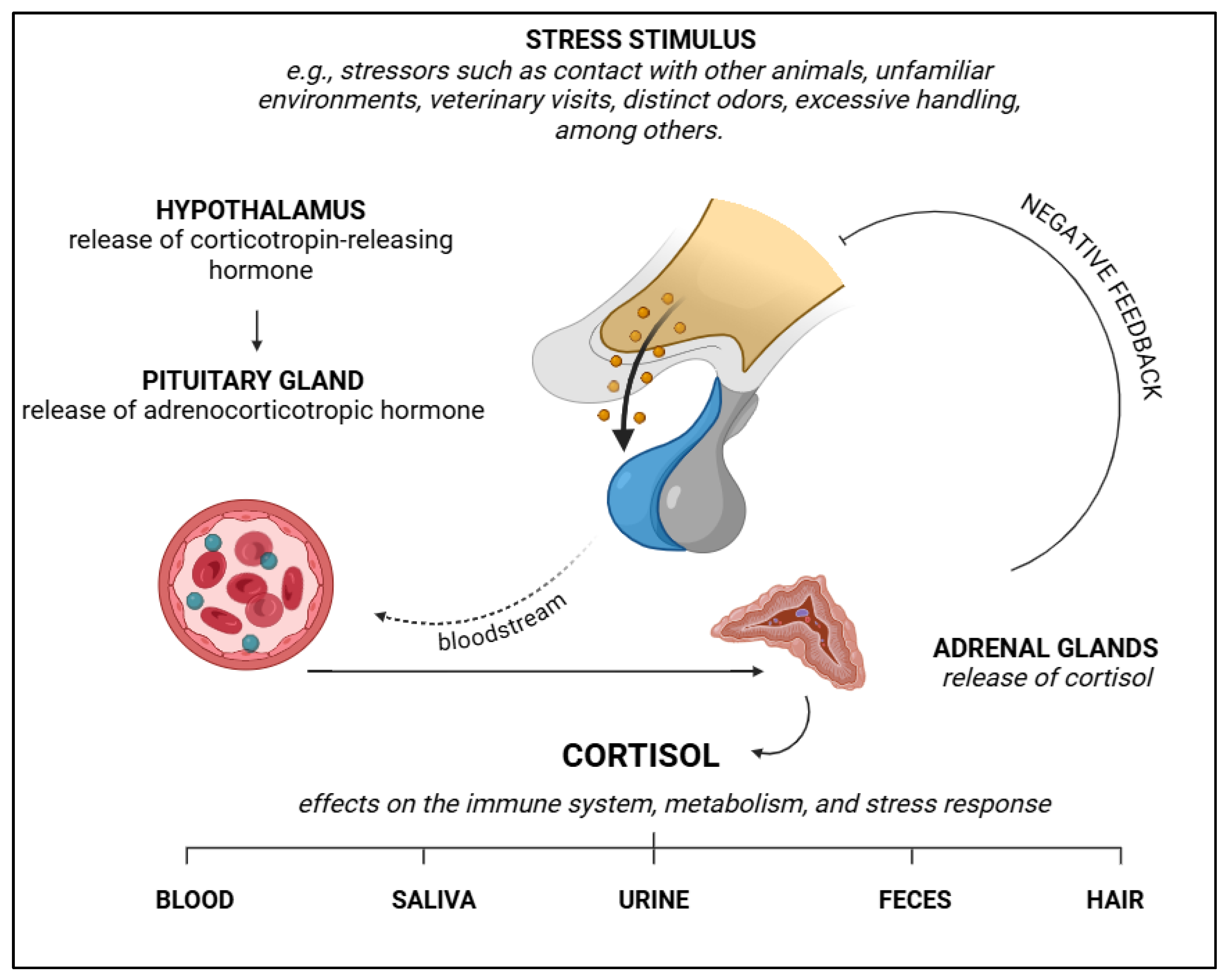 Preprints 154315 g006