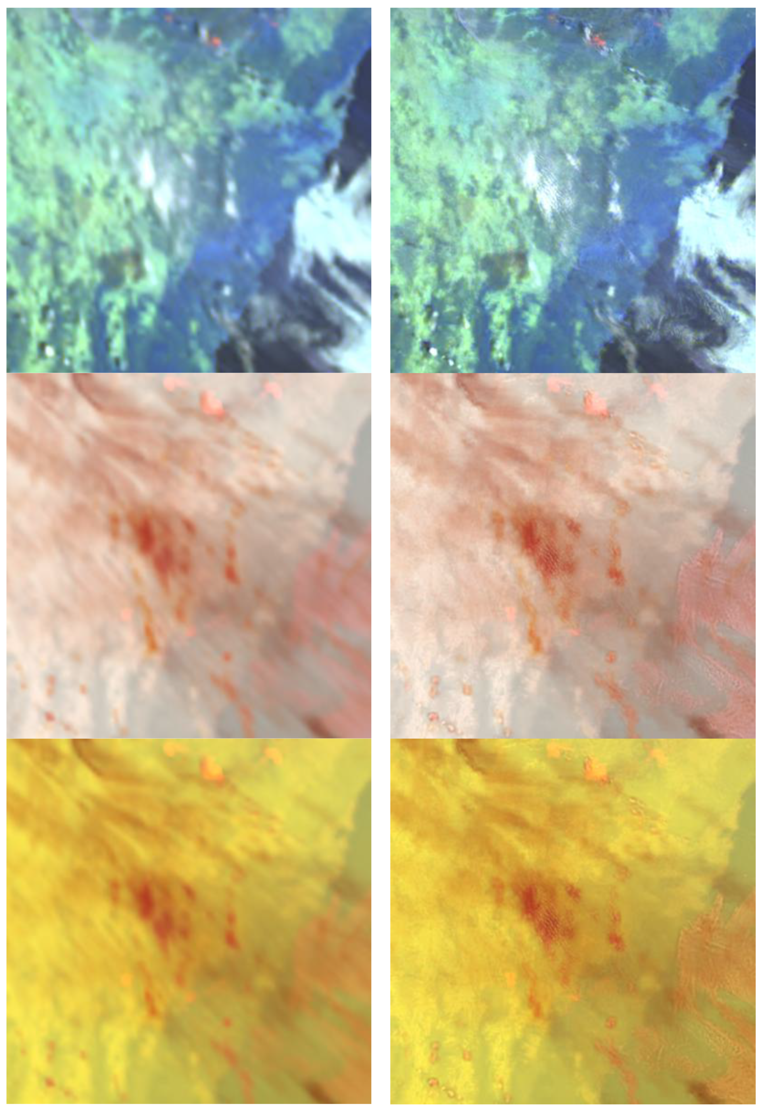 Preprints 168669 g003b