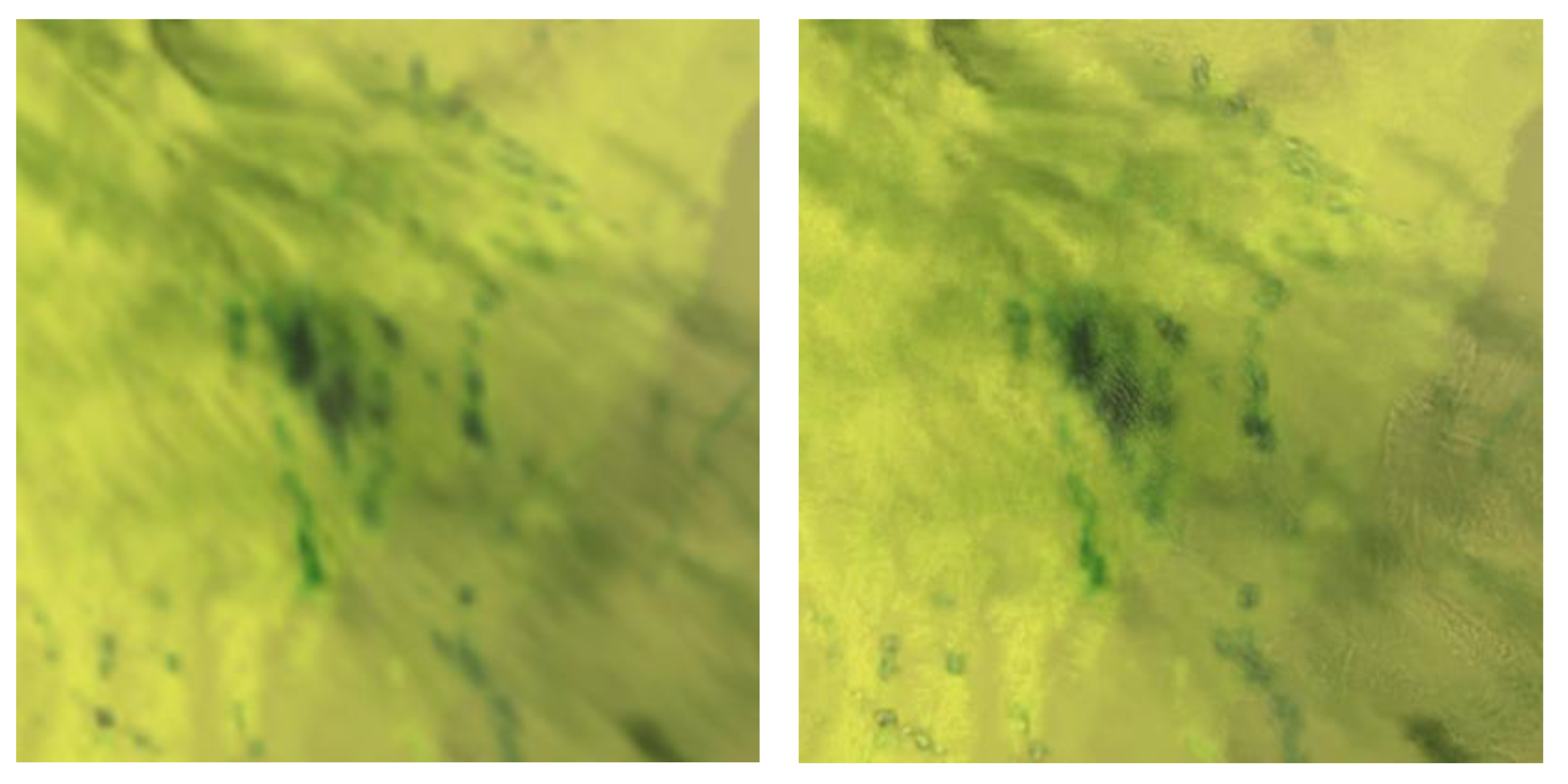 Preprints 168669 g003c