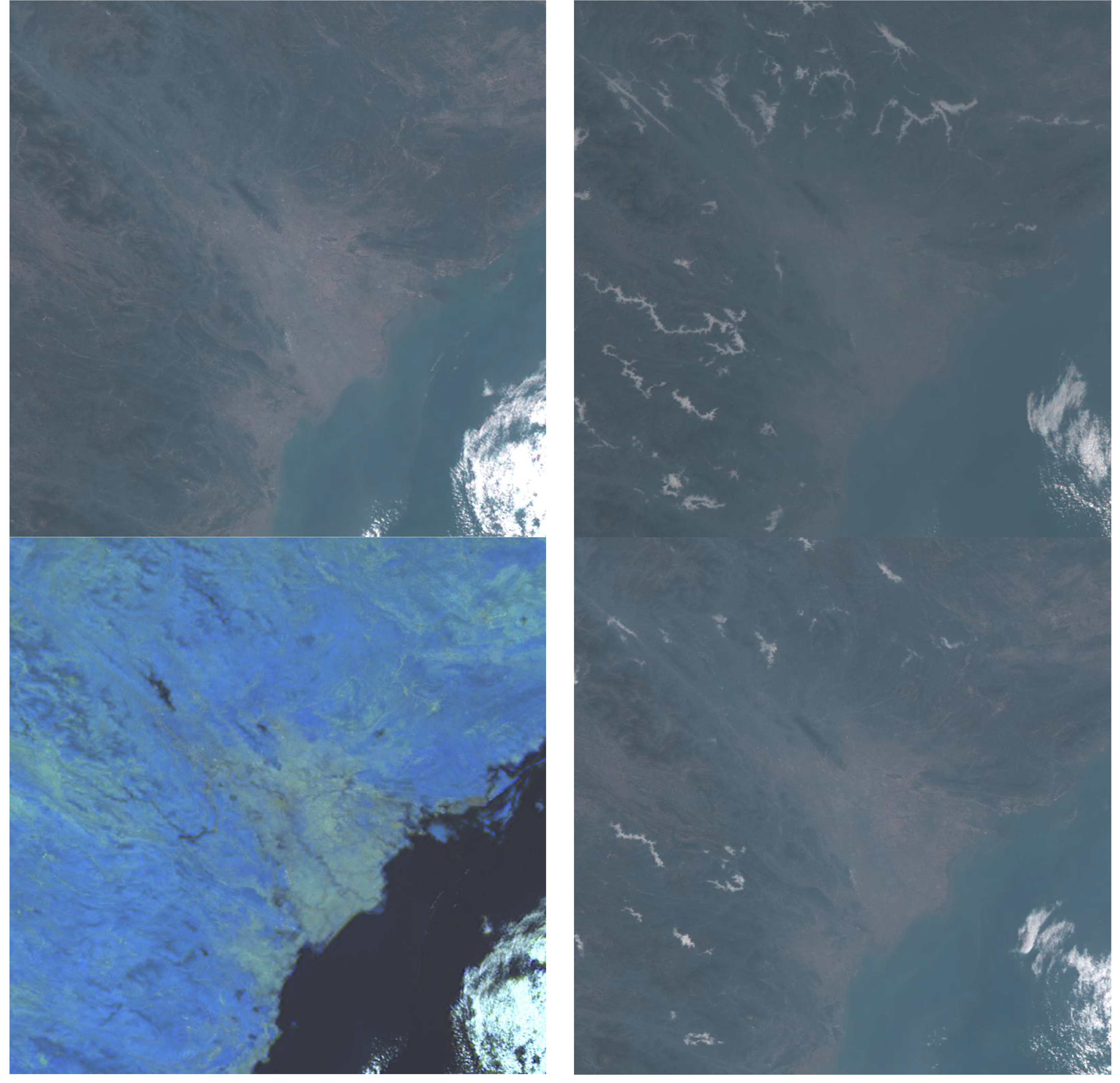 Preprints 168669 g005a