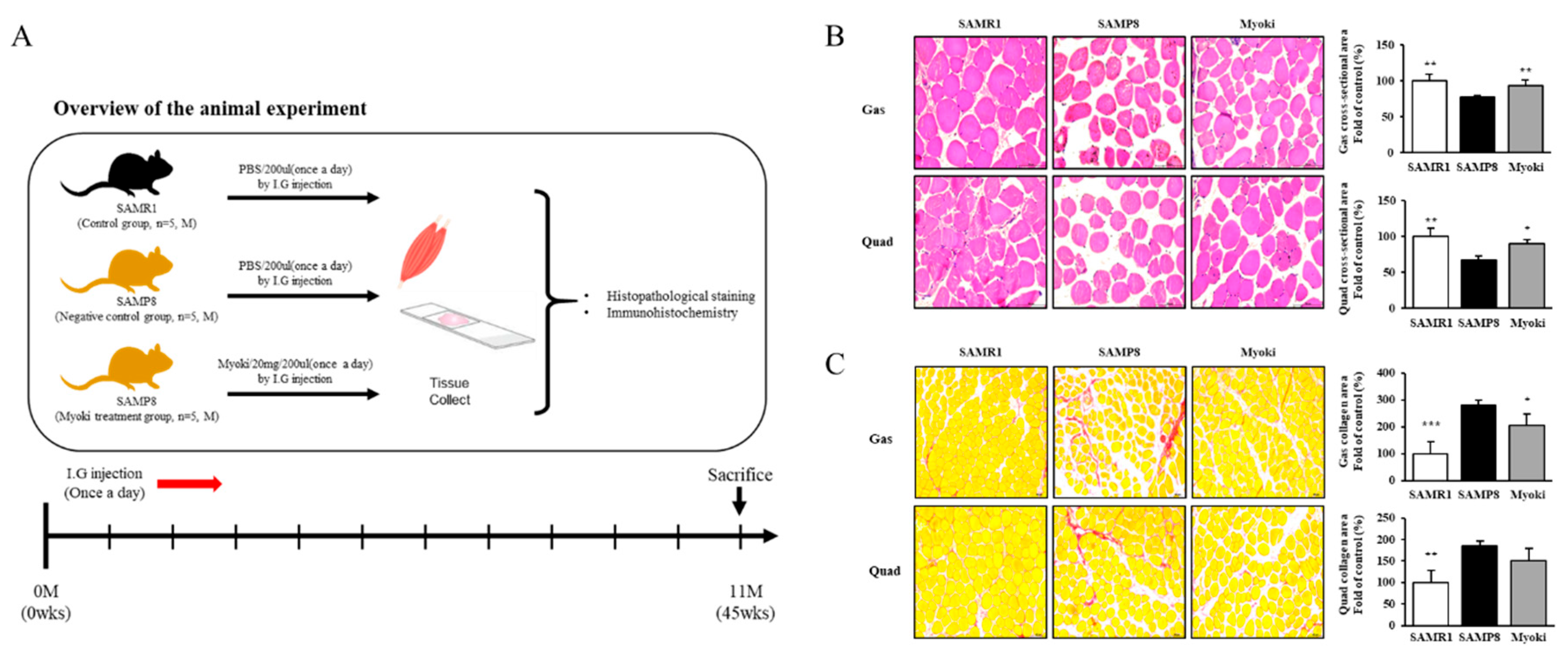 Preprints 163631 g005