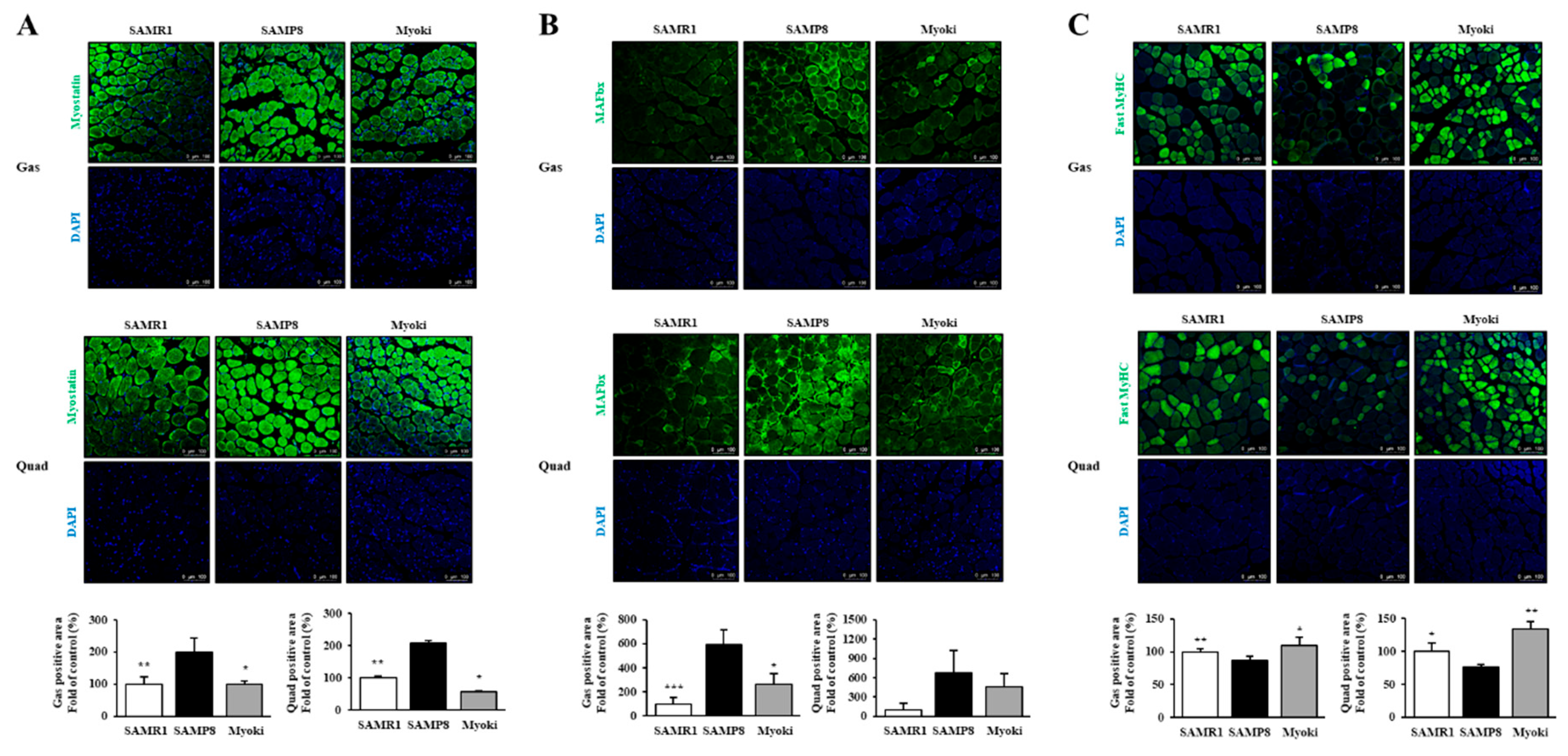 Preprints 163631 g006