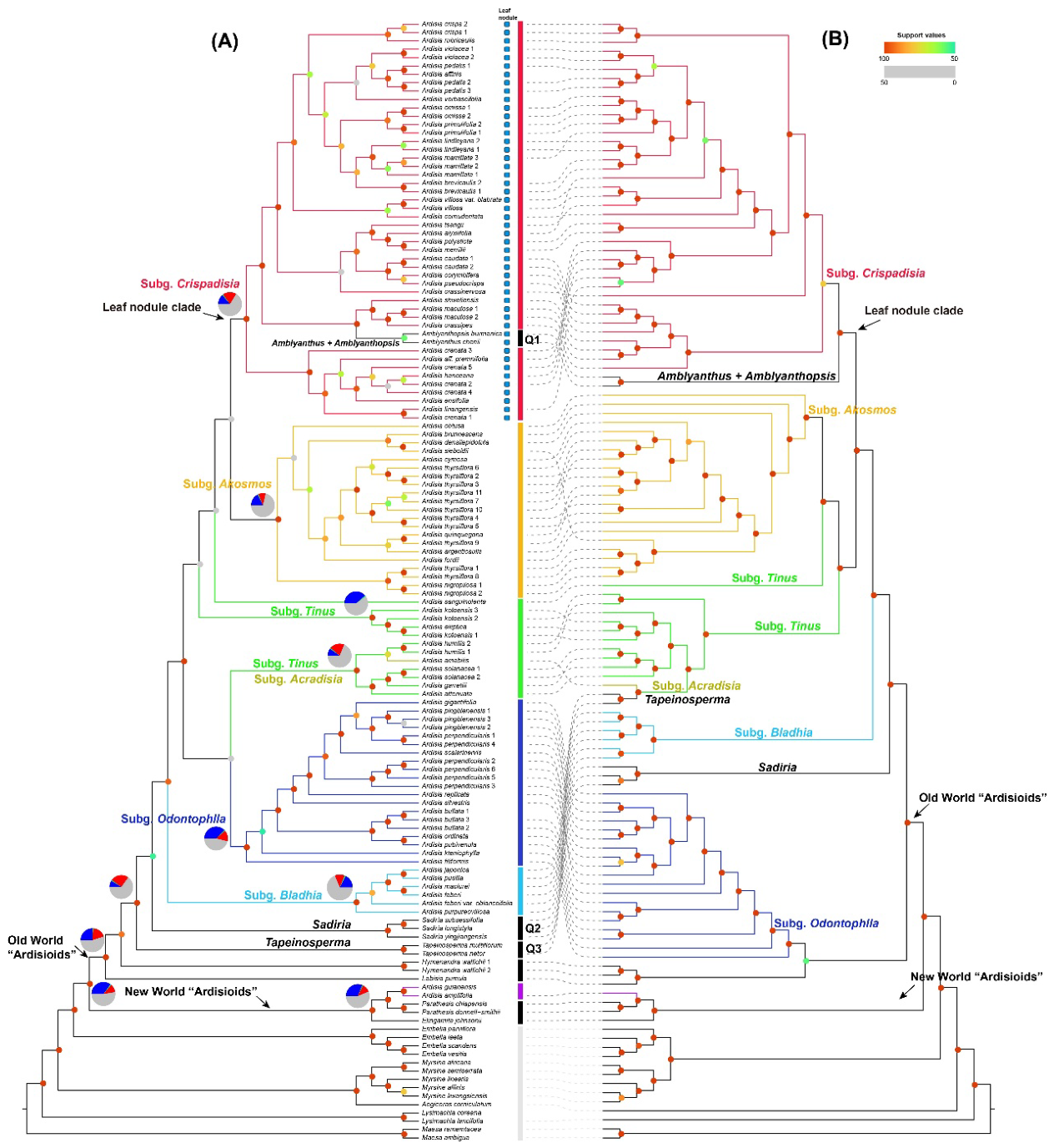 Preprints 222035 g001 Preprints 222035 g001