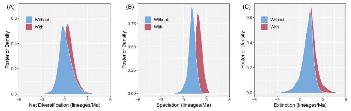 Preprints 222035 g003 Preprints 222035 g003