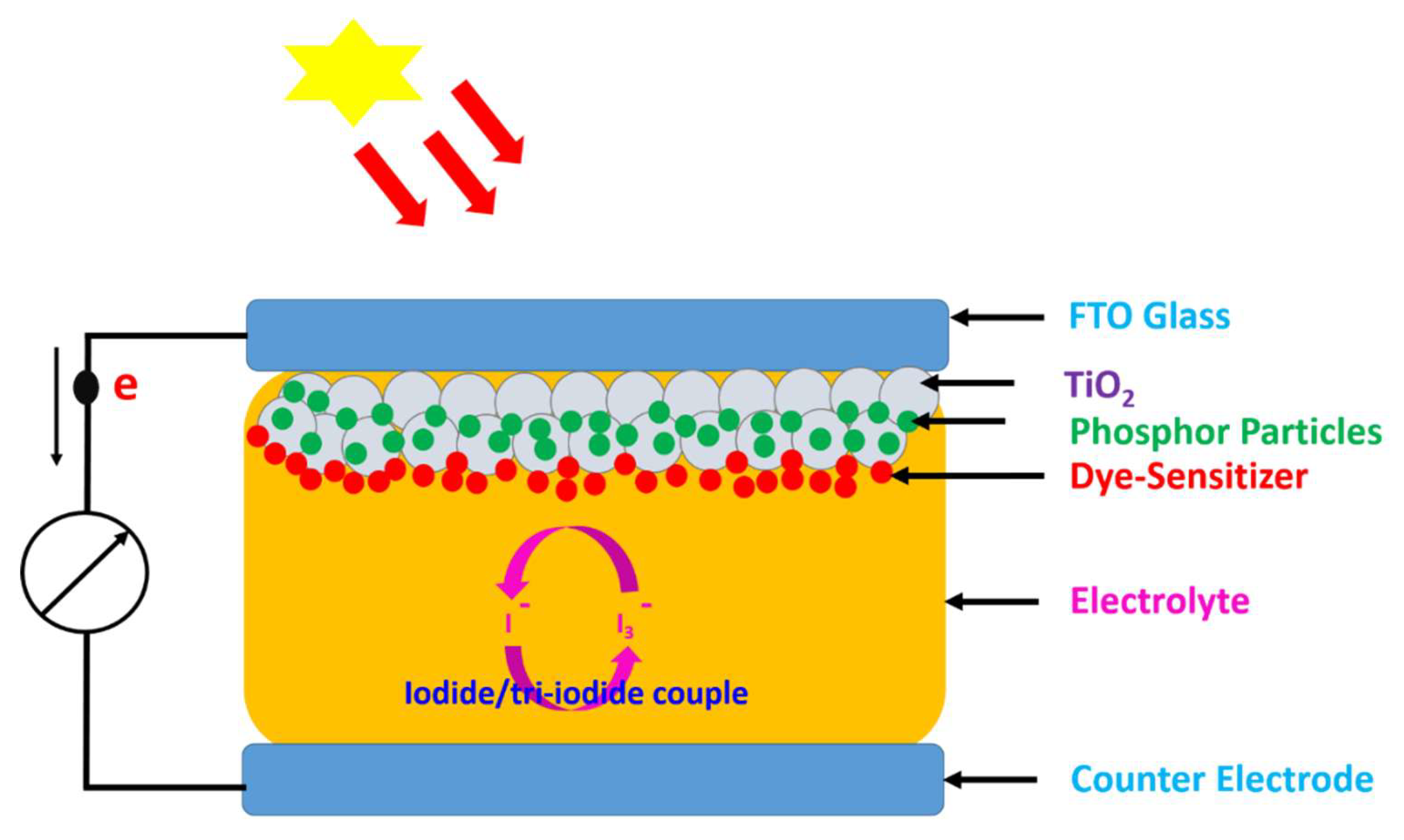Preprints 210319 g004