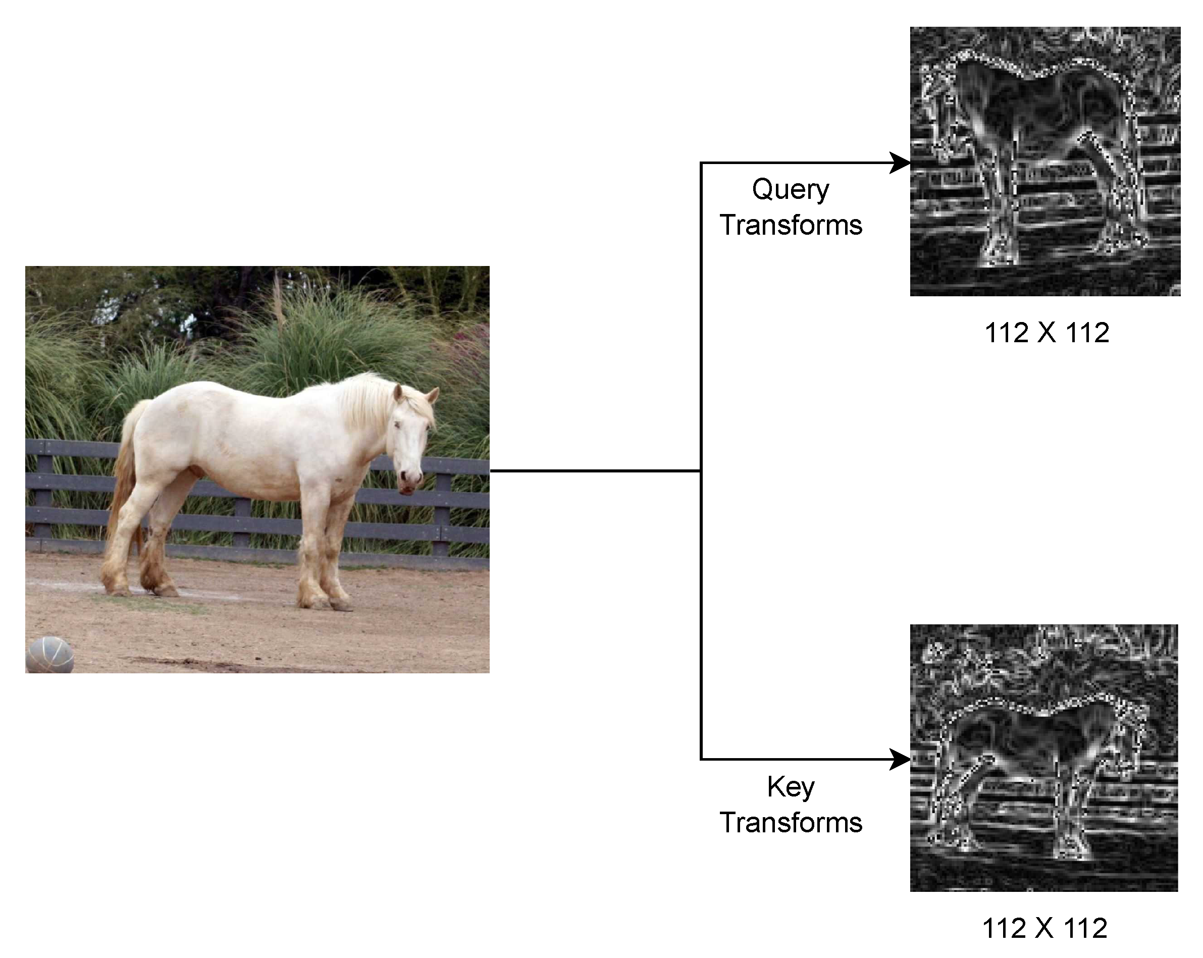 Preprints 145279 g006
