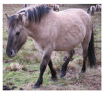 Preprints 145279 i002