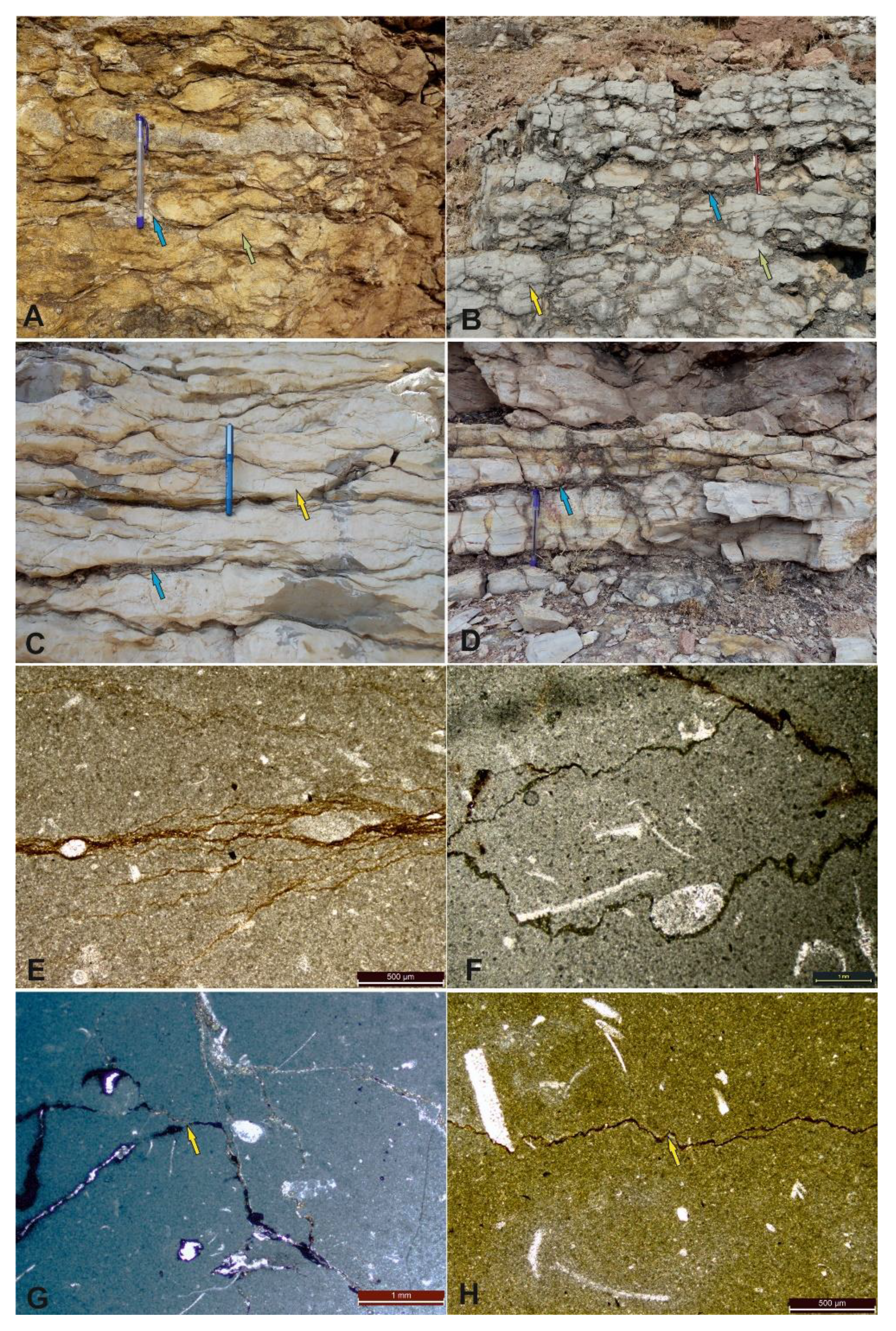 Preprints 162158 g002