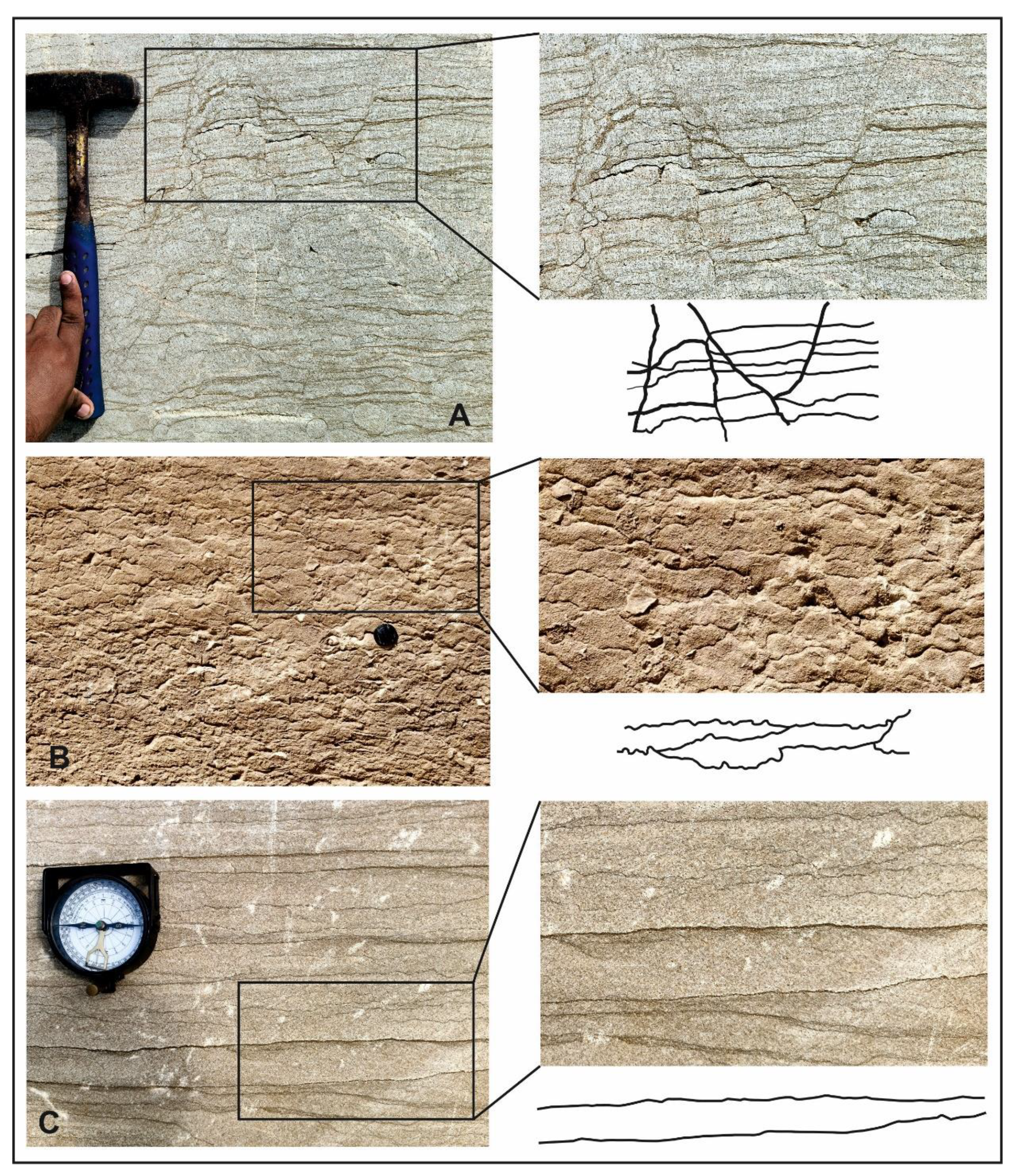 Preprints 162158 g003