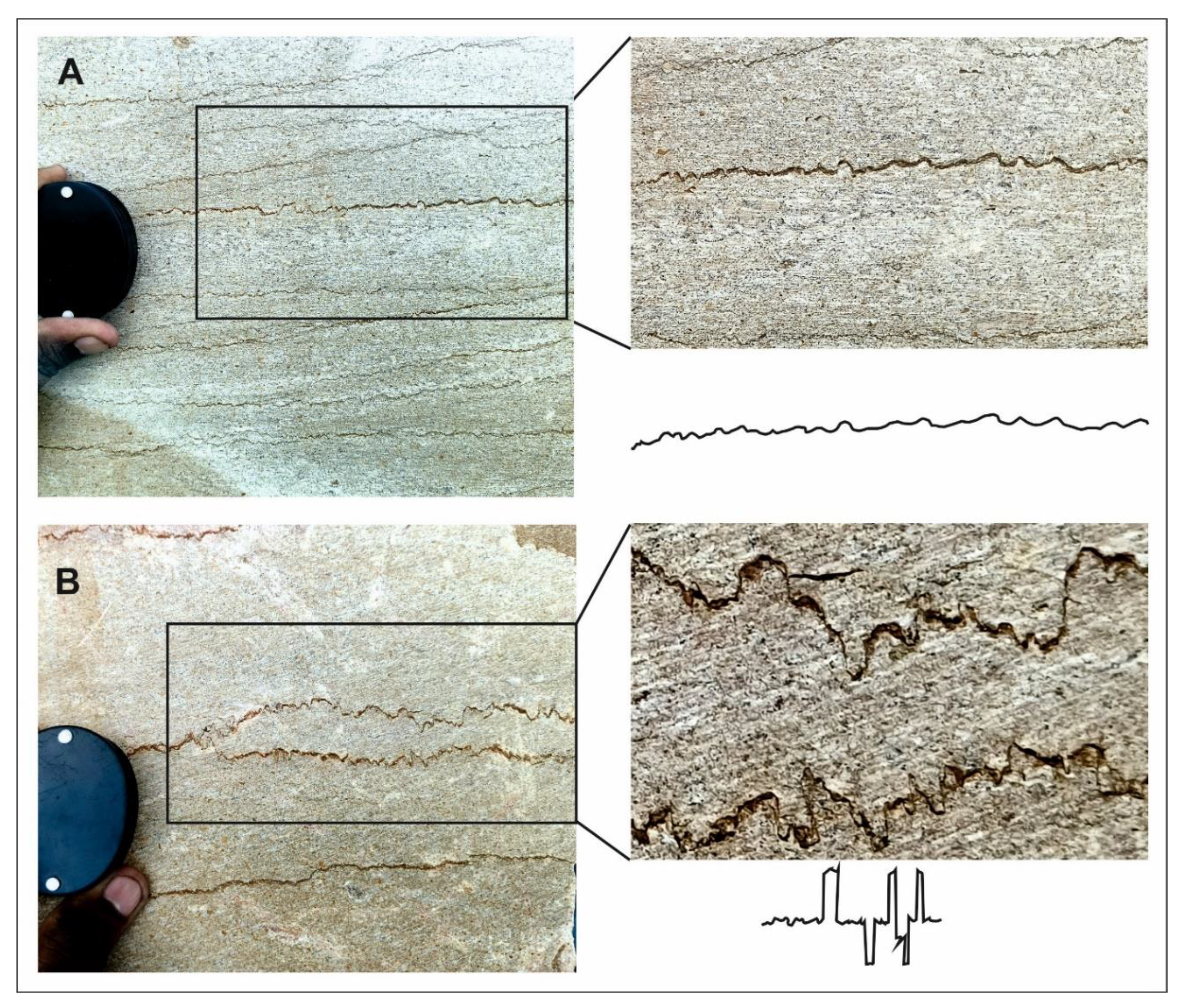 Preprints 162158 g004