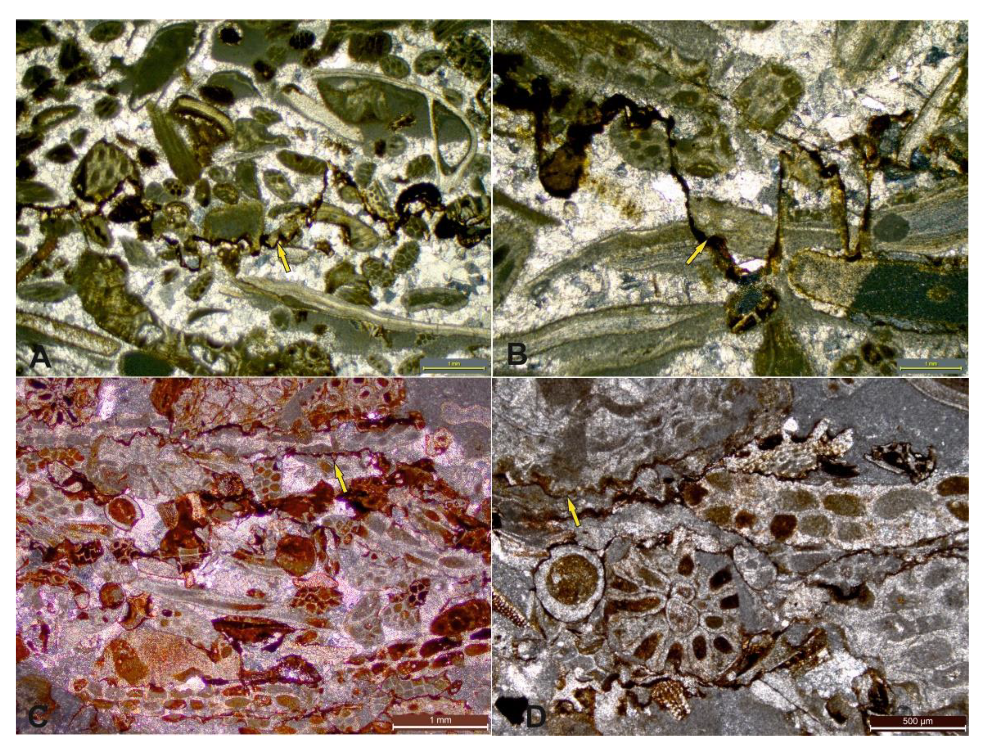 Preprints 162158 g005