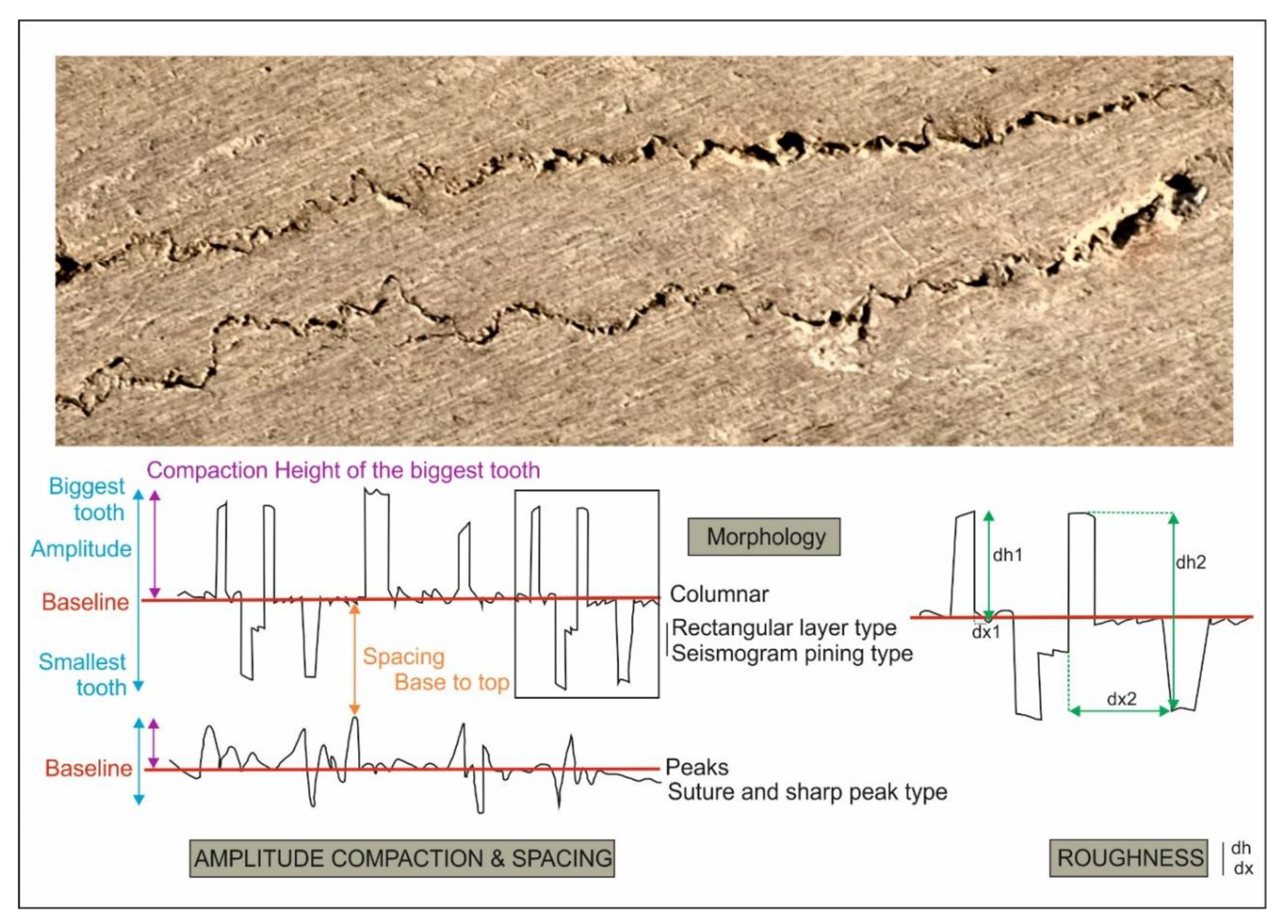 Preprints 162158 g006