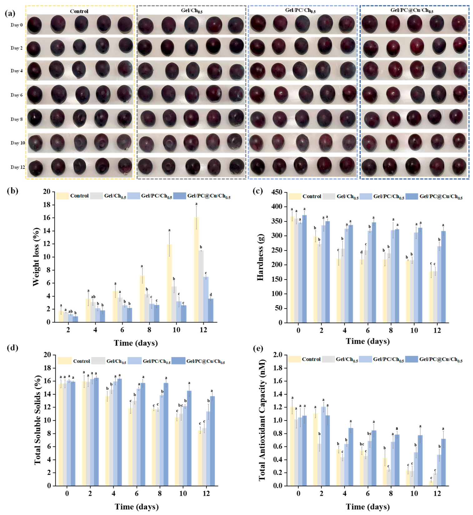 Preprints 229128 g006 Preprints 229128 g006