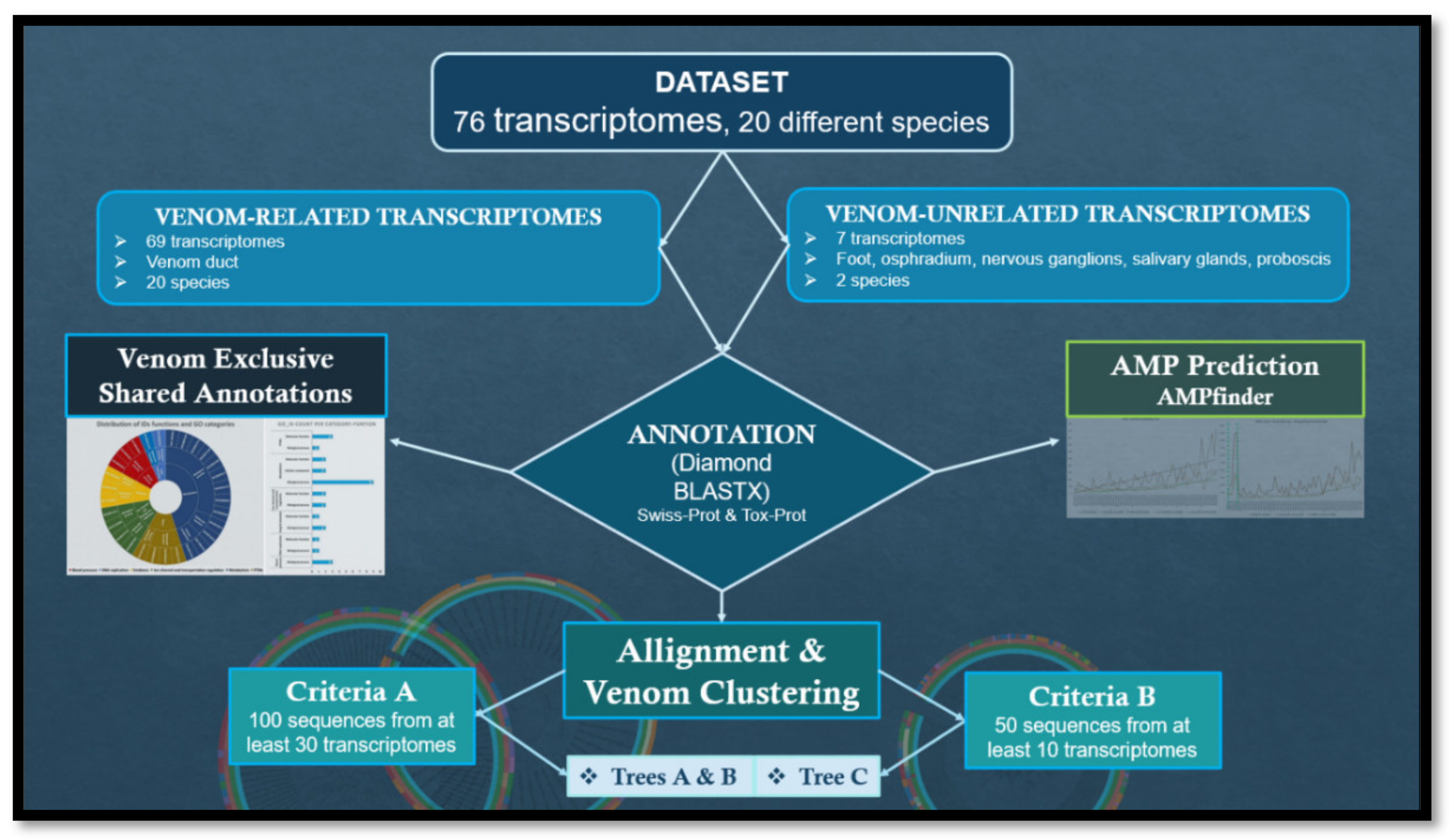 Preprints 155556 g001
