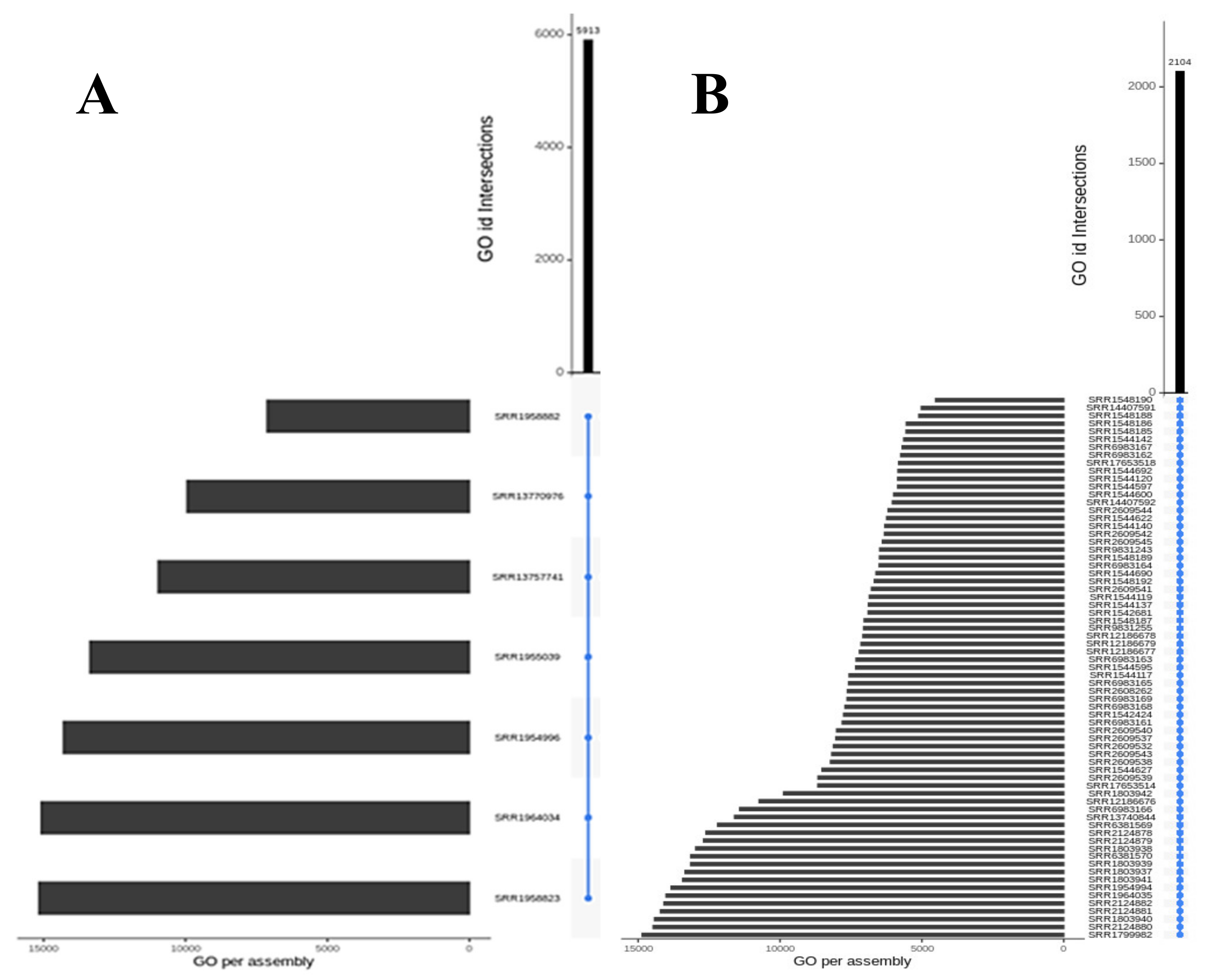 Preprints 155556 g002