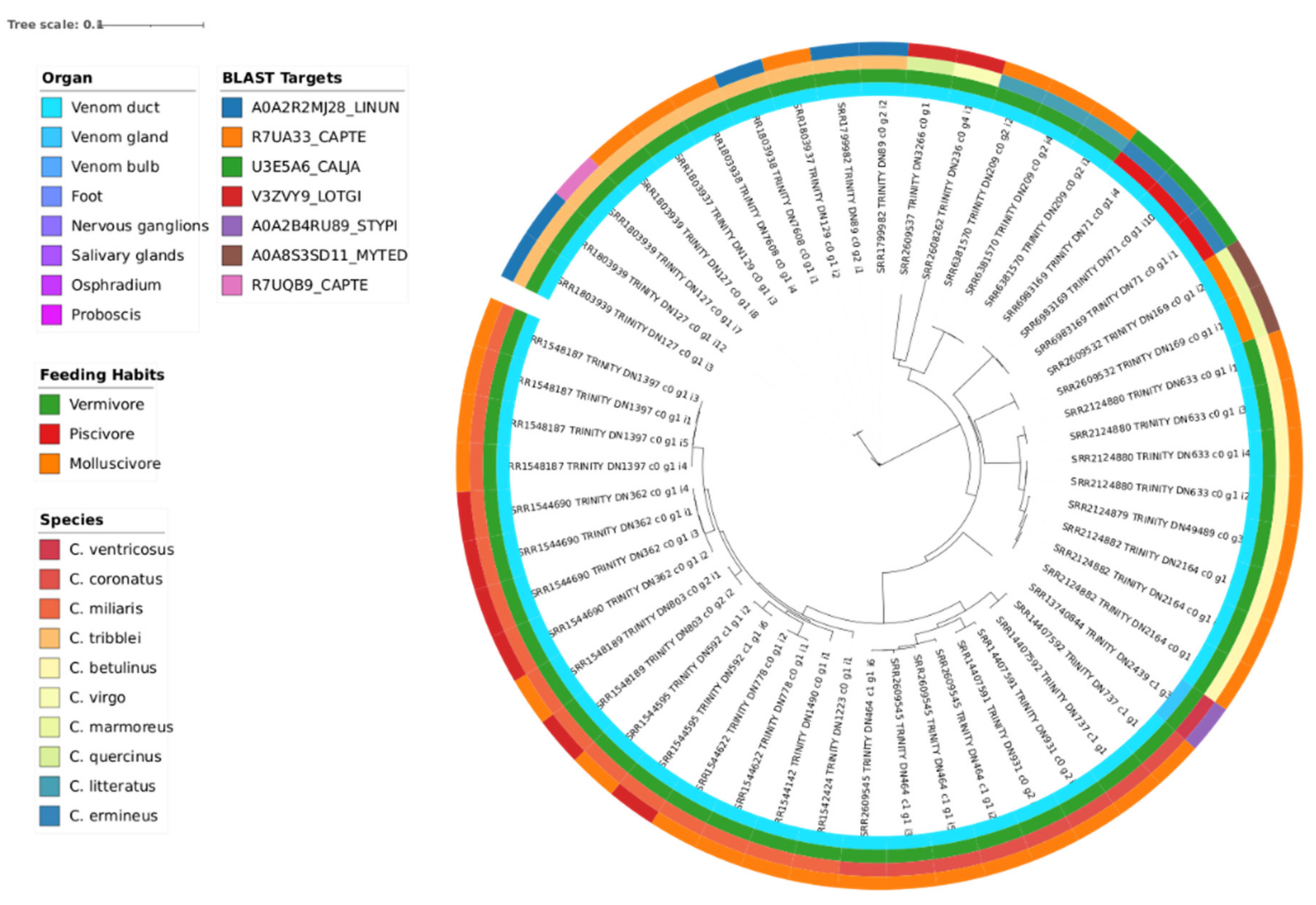 Preprints 155556 g006