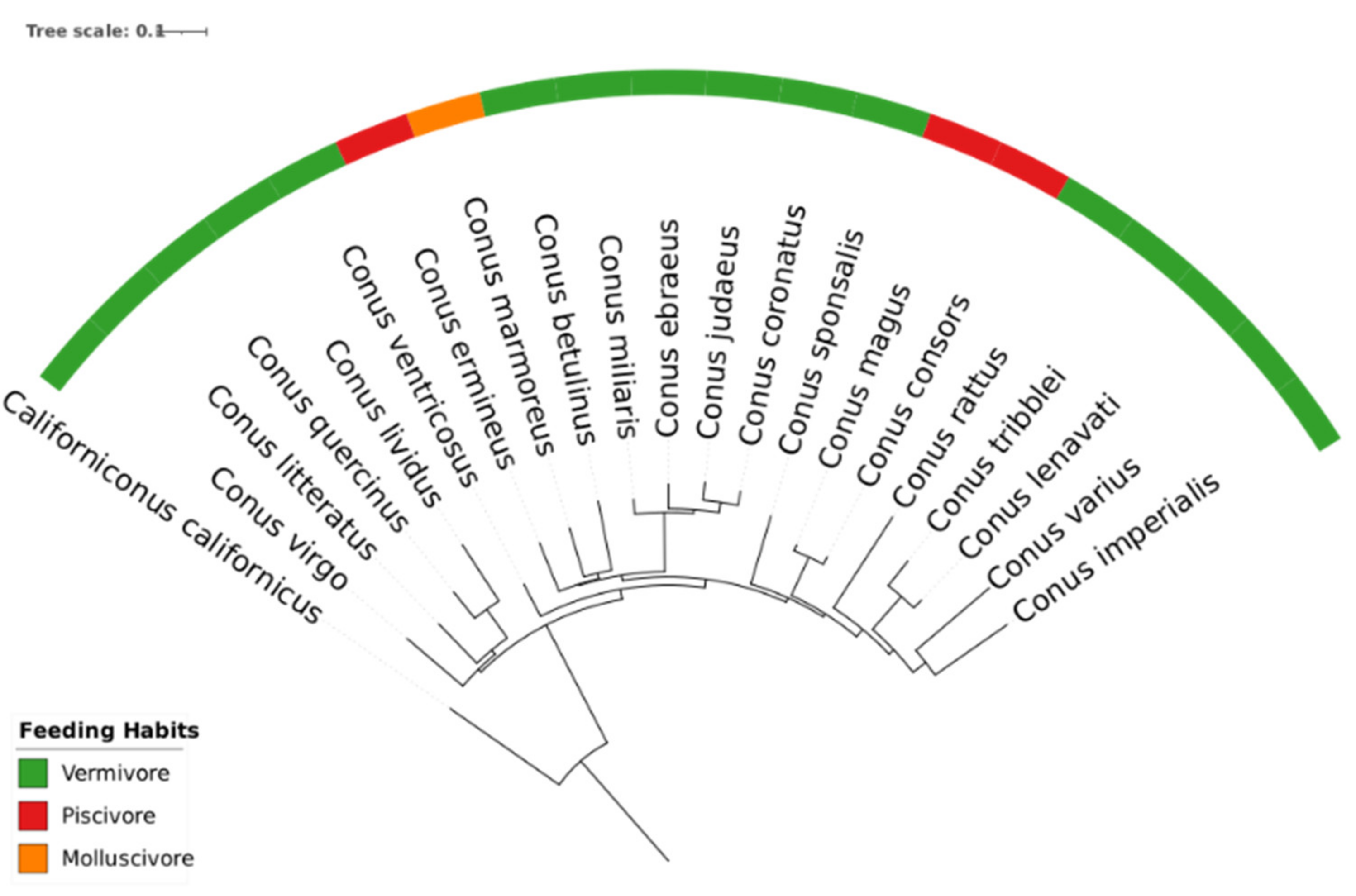 Preprints 155556 g0a3