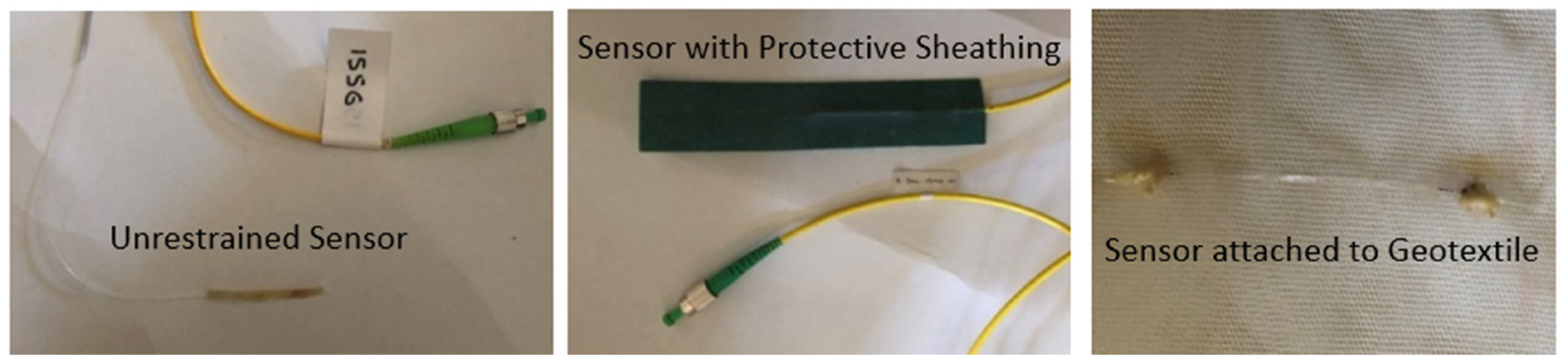 Preprints 144955 g002