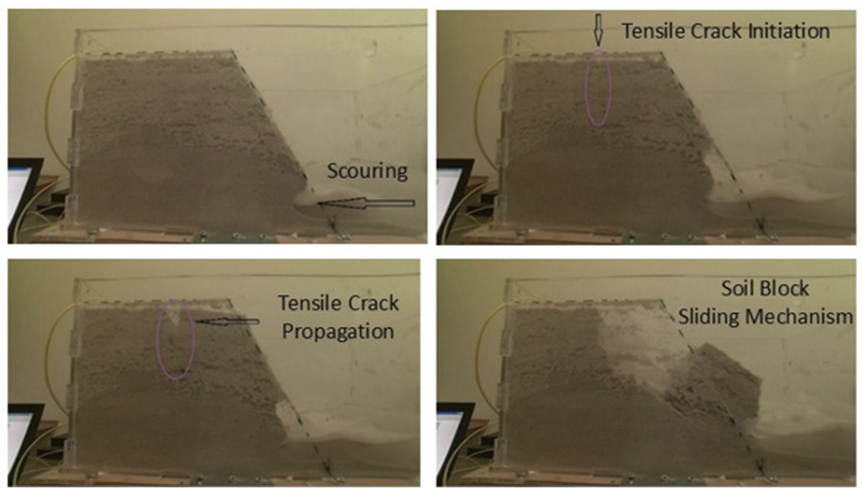 Preprints 144955 g004