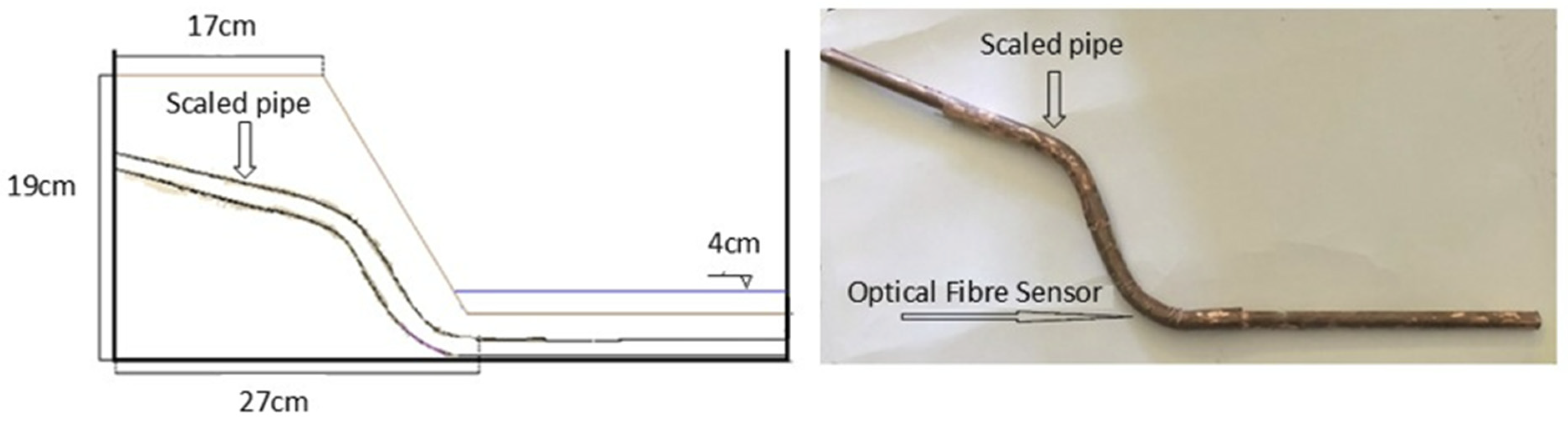 Preprints 144955 g007