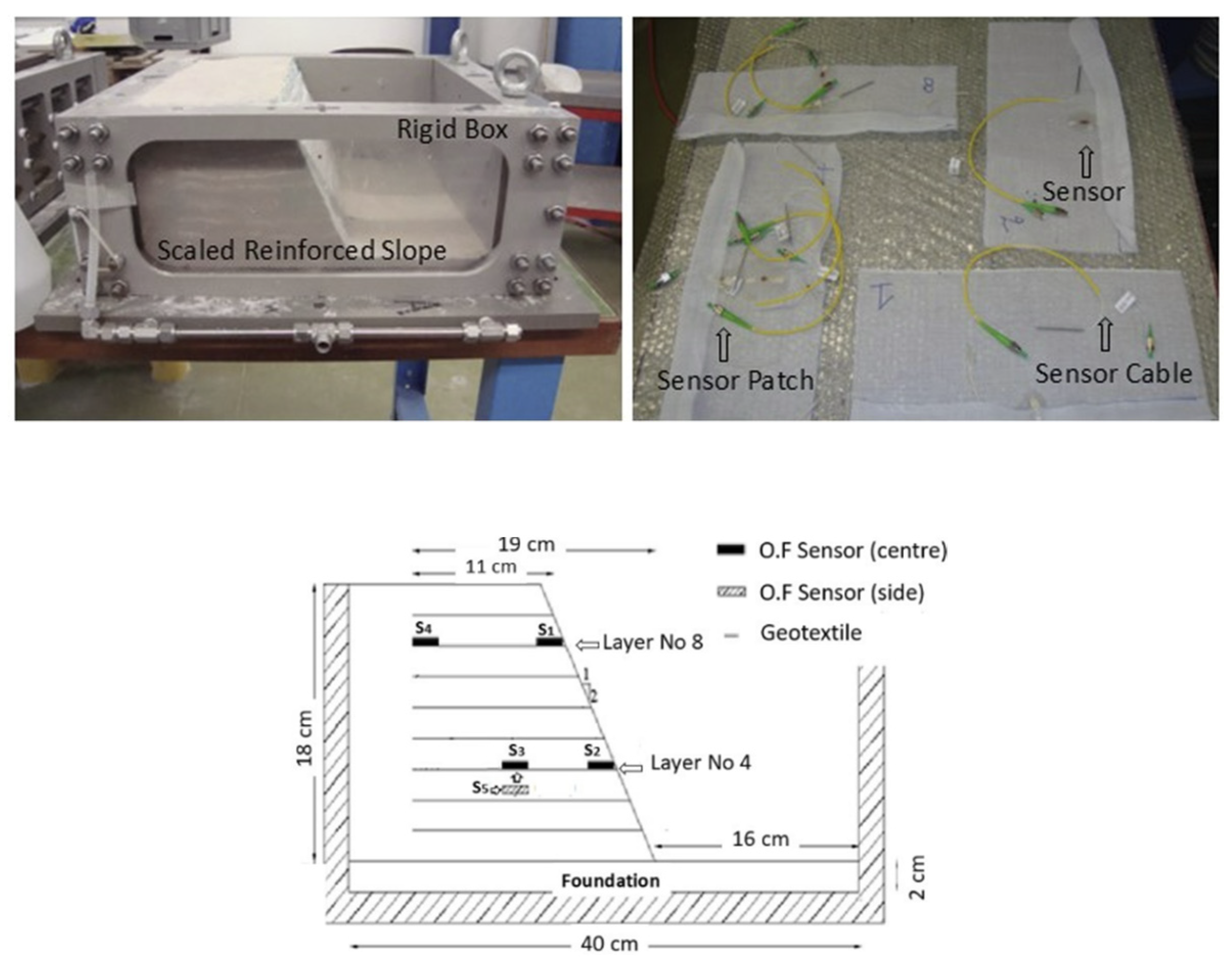 Preprints 144955 g012