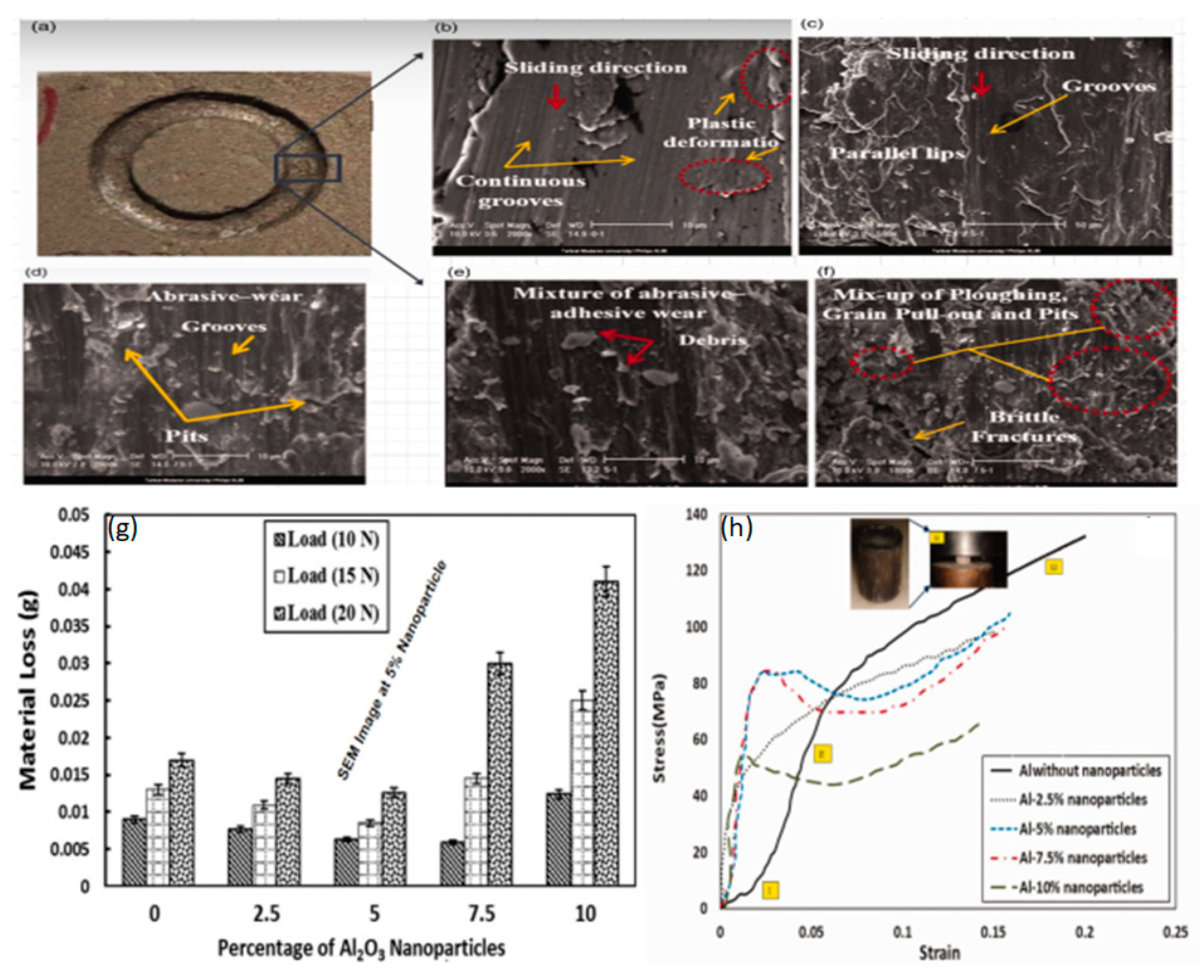 Preprints 113421 g005
